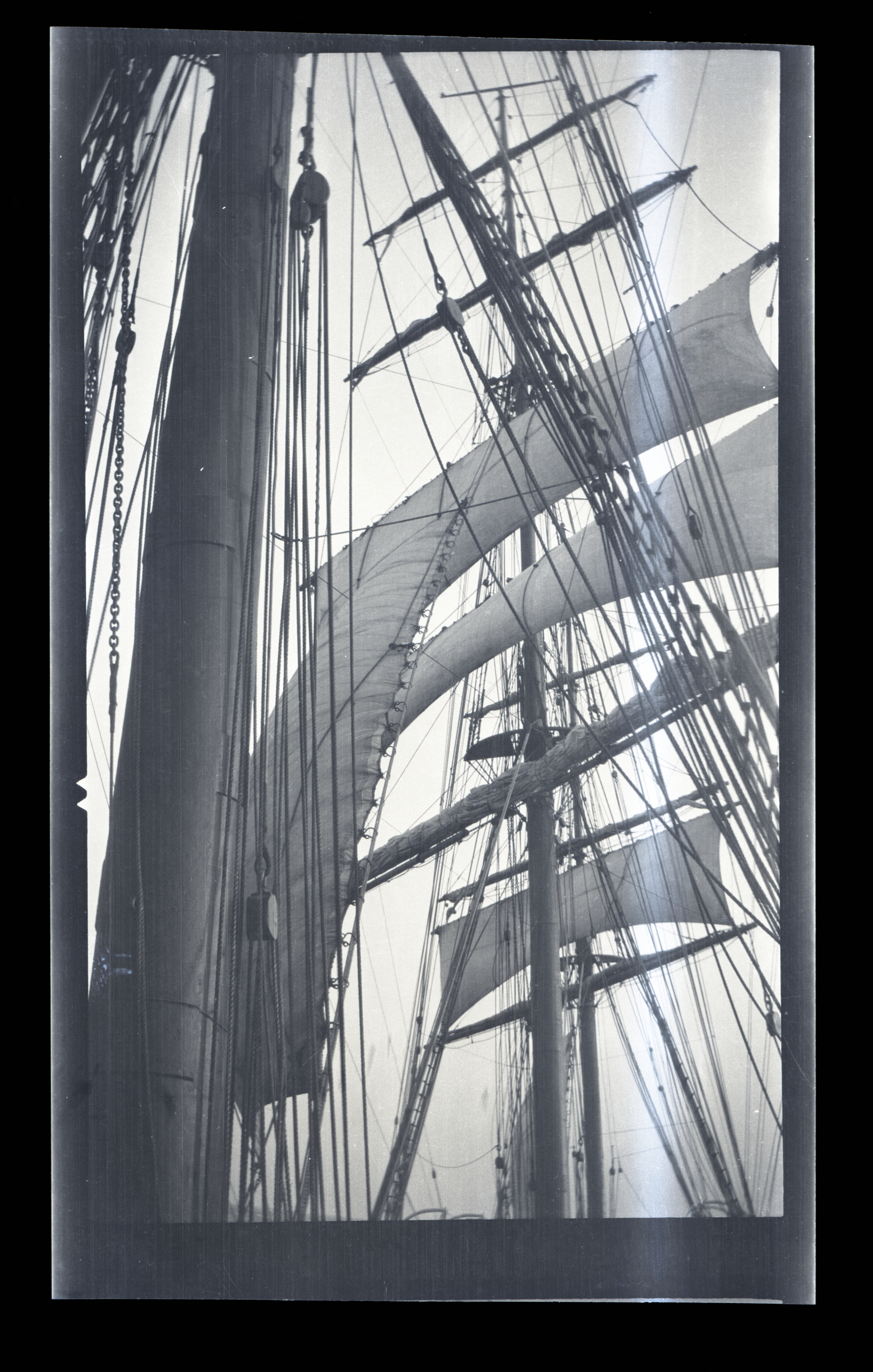 2024/06/26 scanned in collection storage for database