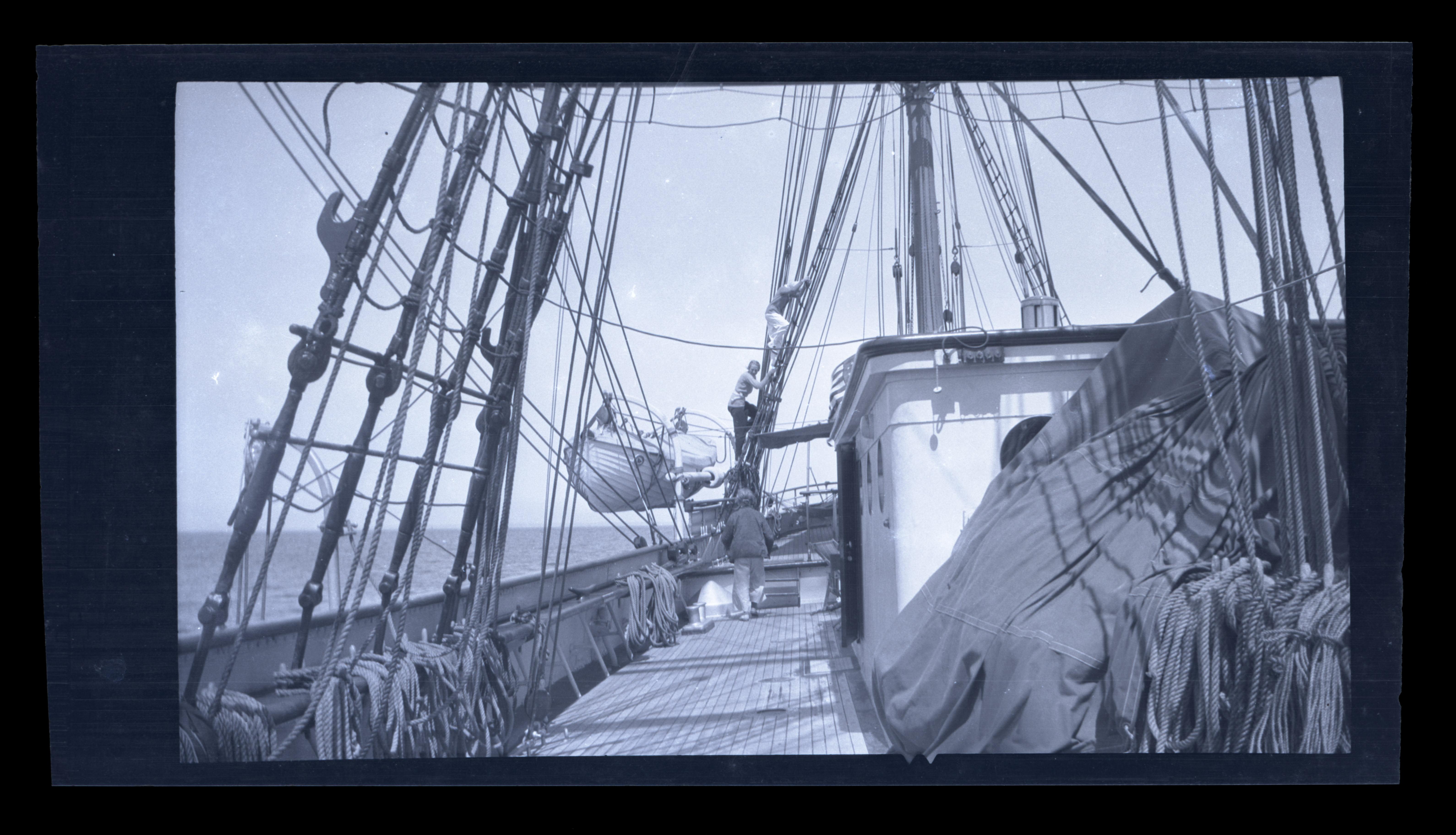 2024/07/23 scanned in collection storage for database.