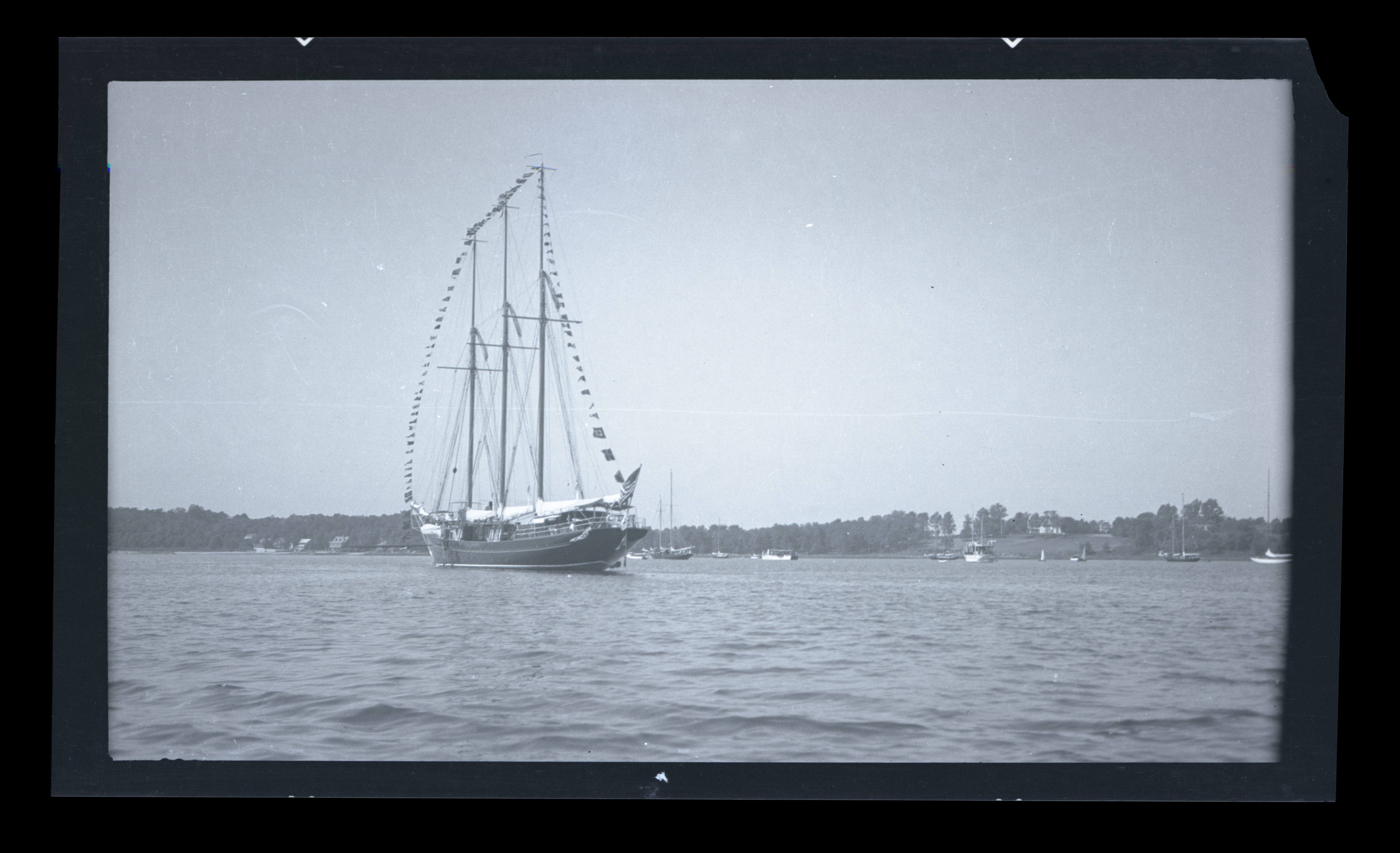 2024/07/24 scanned in collection storage for database.