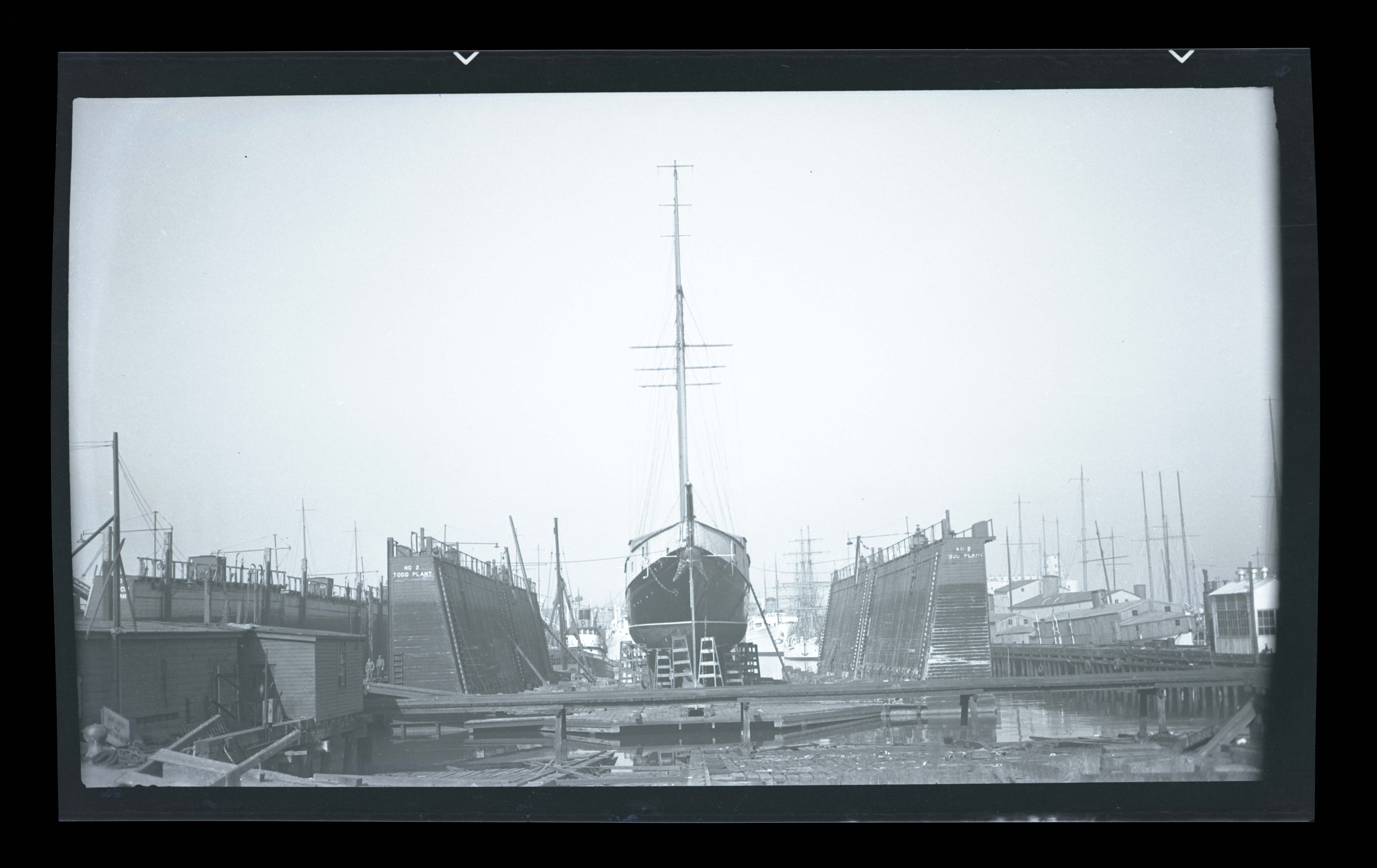 2024/07/24 scanned in collection storage for database.