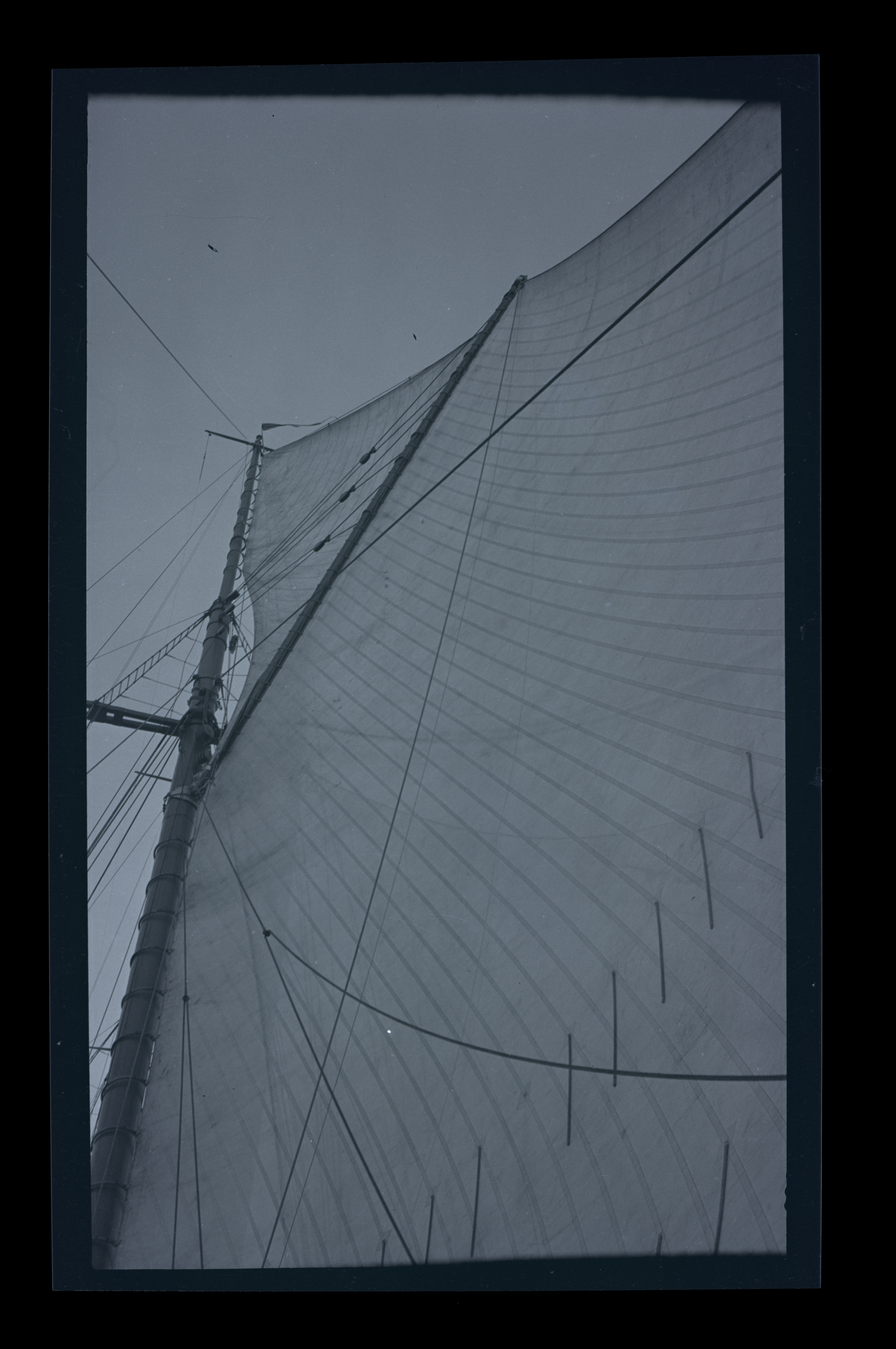 2024/07/25 scanned in collection storage for database.