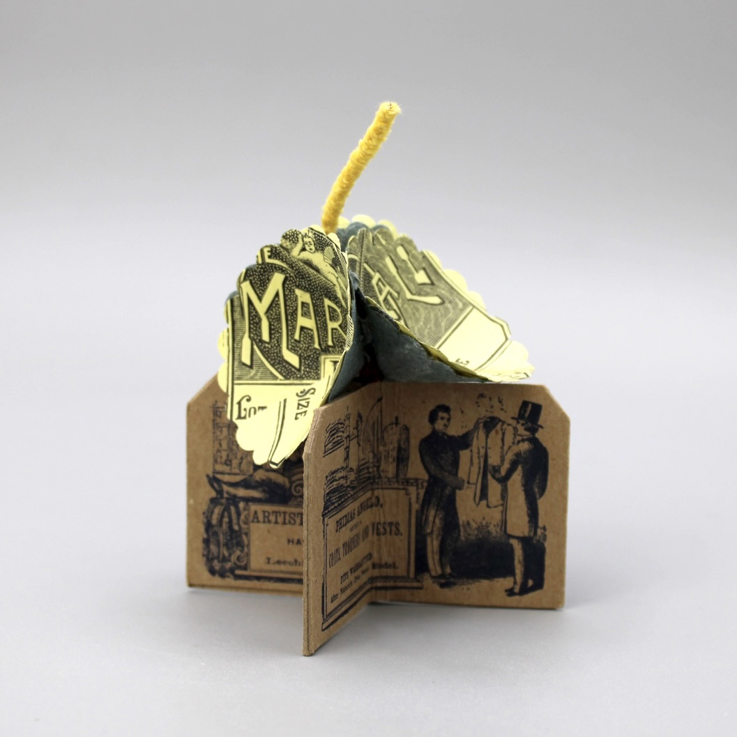 2024/07/26, object photographed in collection storage for database