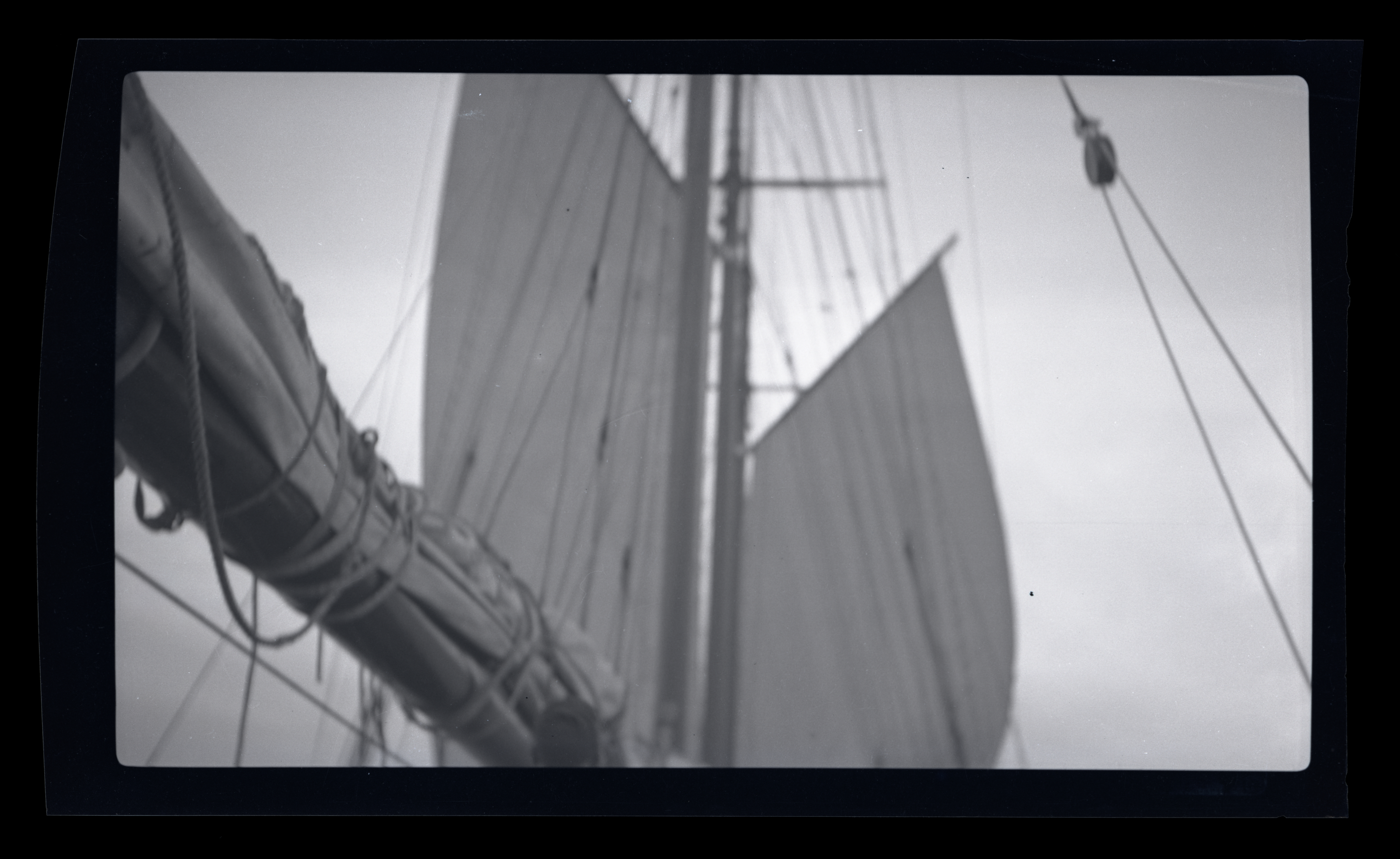 2024/07/30 scanned in collection storage for database.