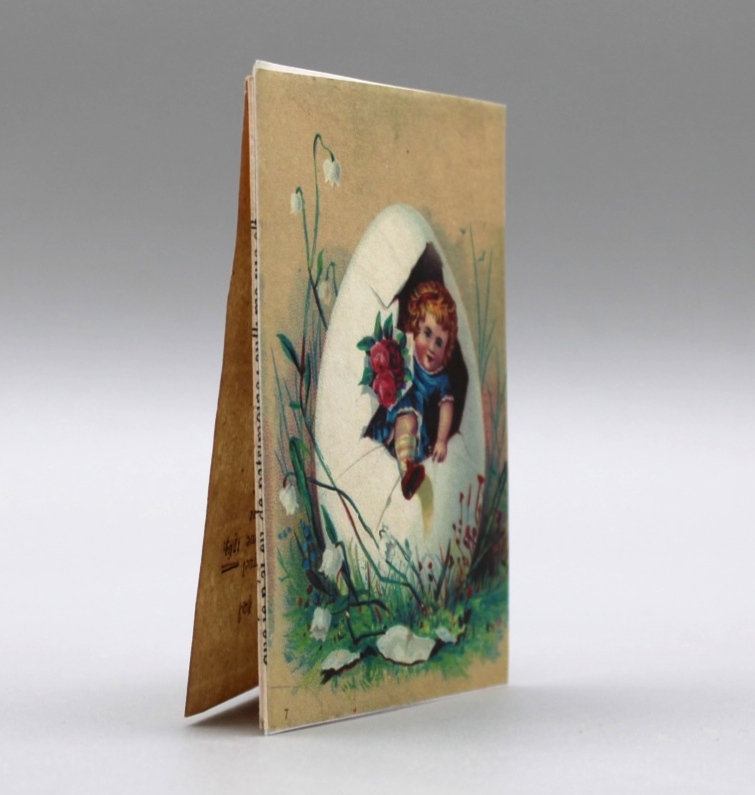  2024/07/30 photographed in collections storage for database