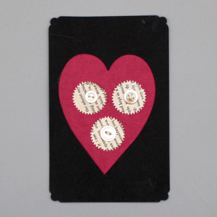 2024/07/31 photographed in collections storage for database