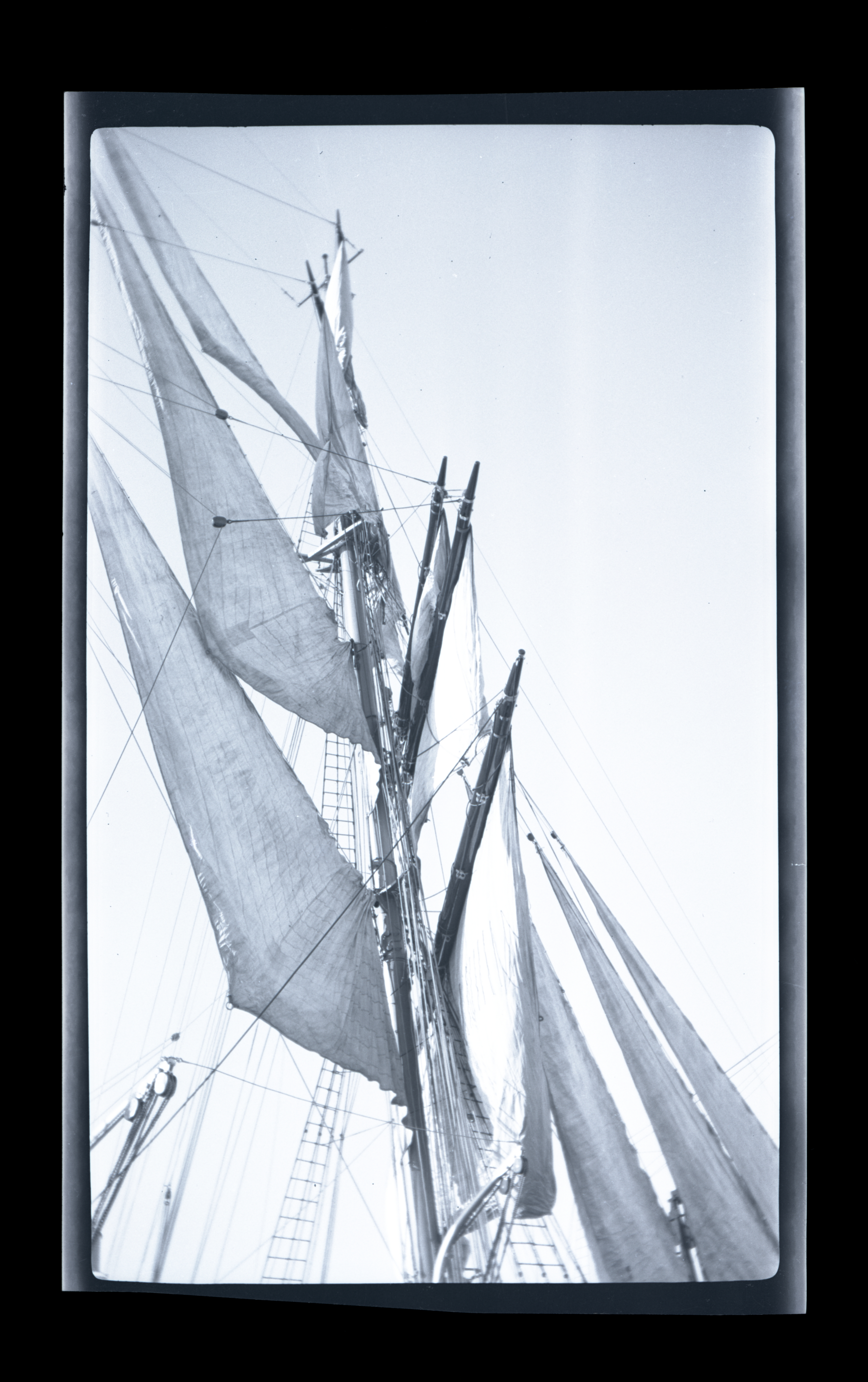 2024/07/31 scanned in collection storage for database.