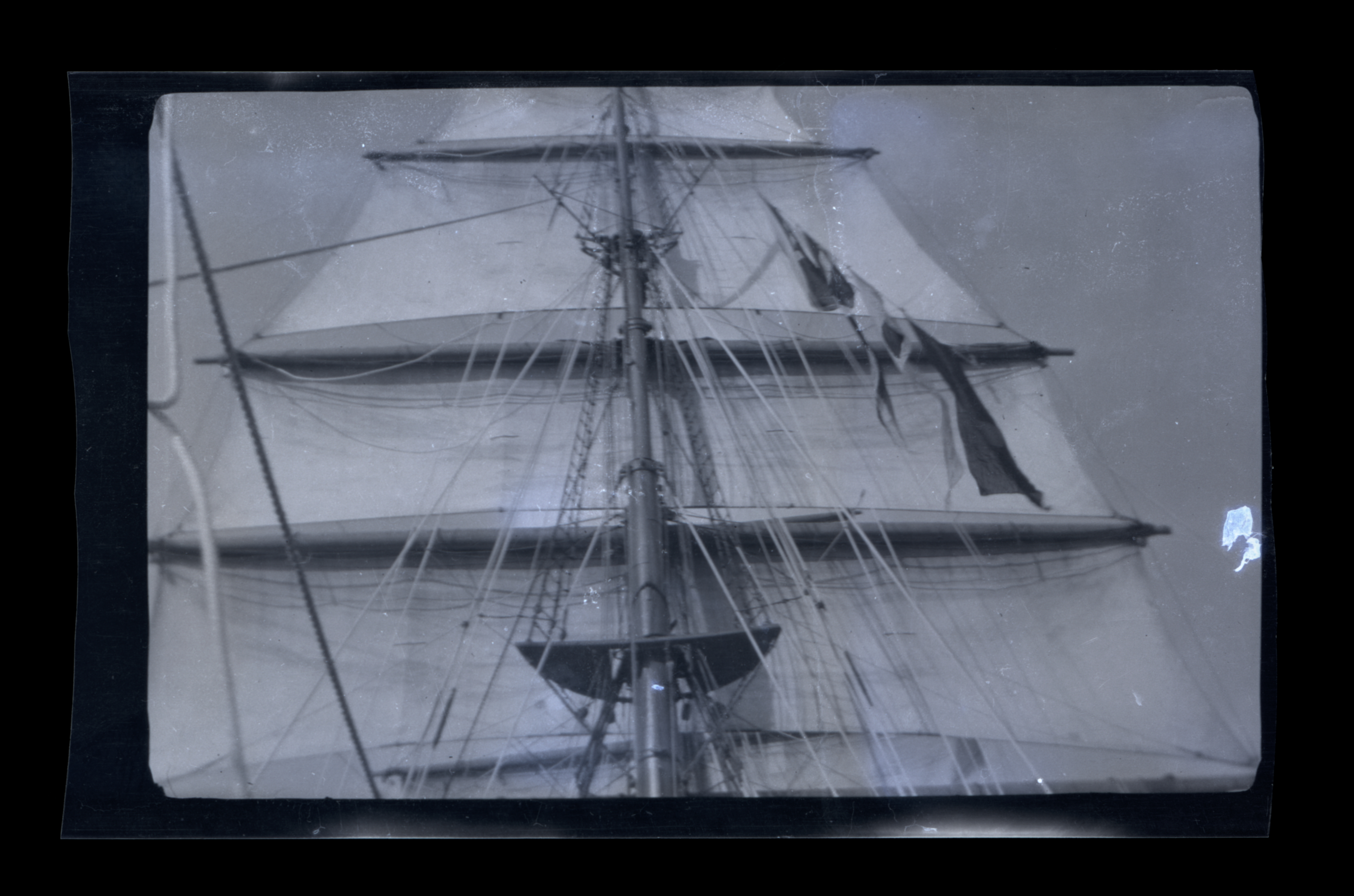 2024/07/31 scanned in collection storage for database.