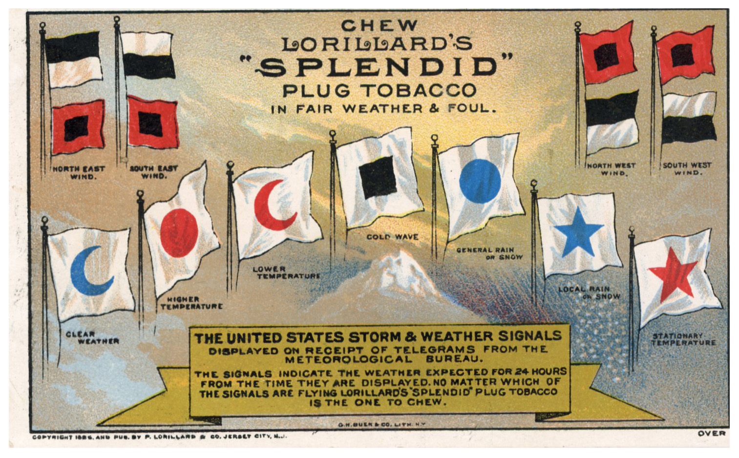 2024/08/02, object photographed in collection storage for database