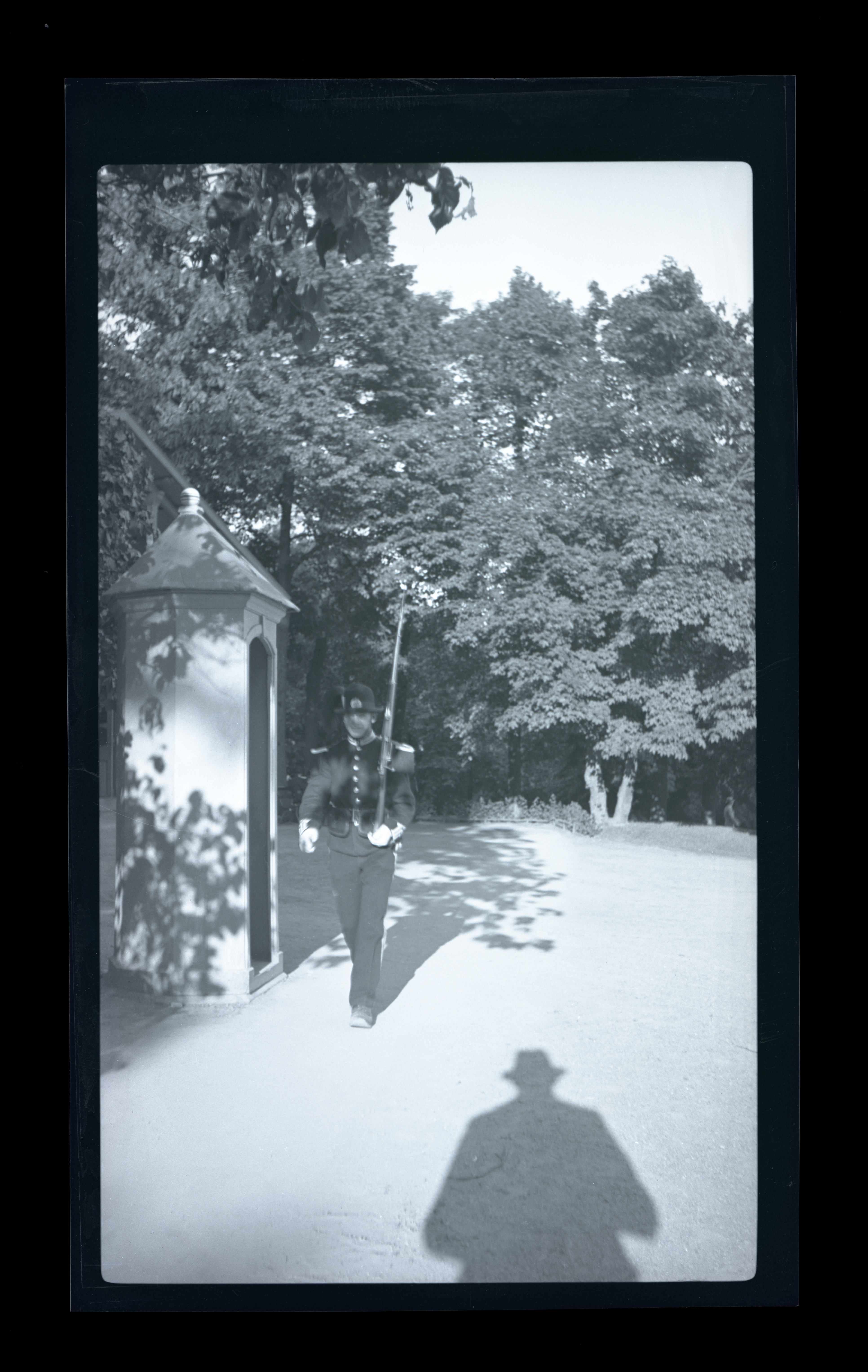 2024/08/06 scanned in collection storage for database.