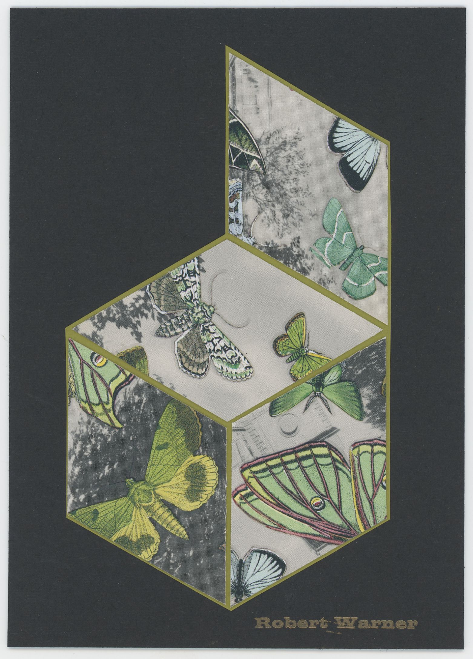 2024/08/09, object scanned in office for database