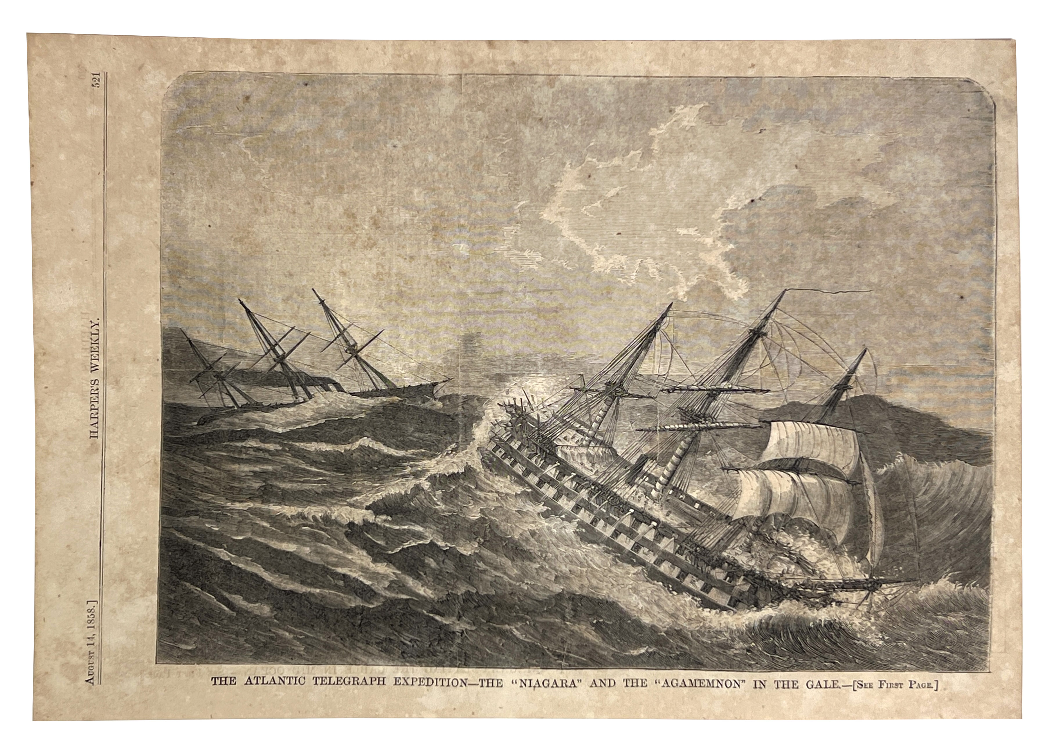 2024/08/15, image from 2024/08/15 edited in photoshop onto white background for database and online portal