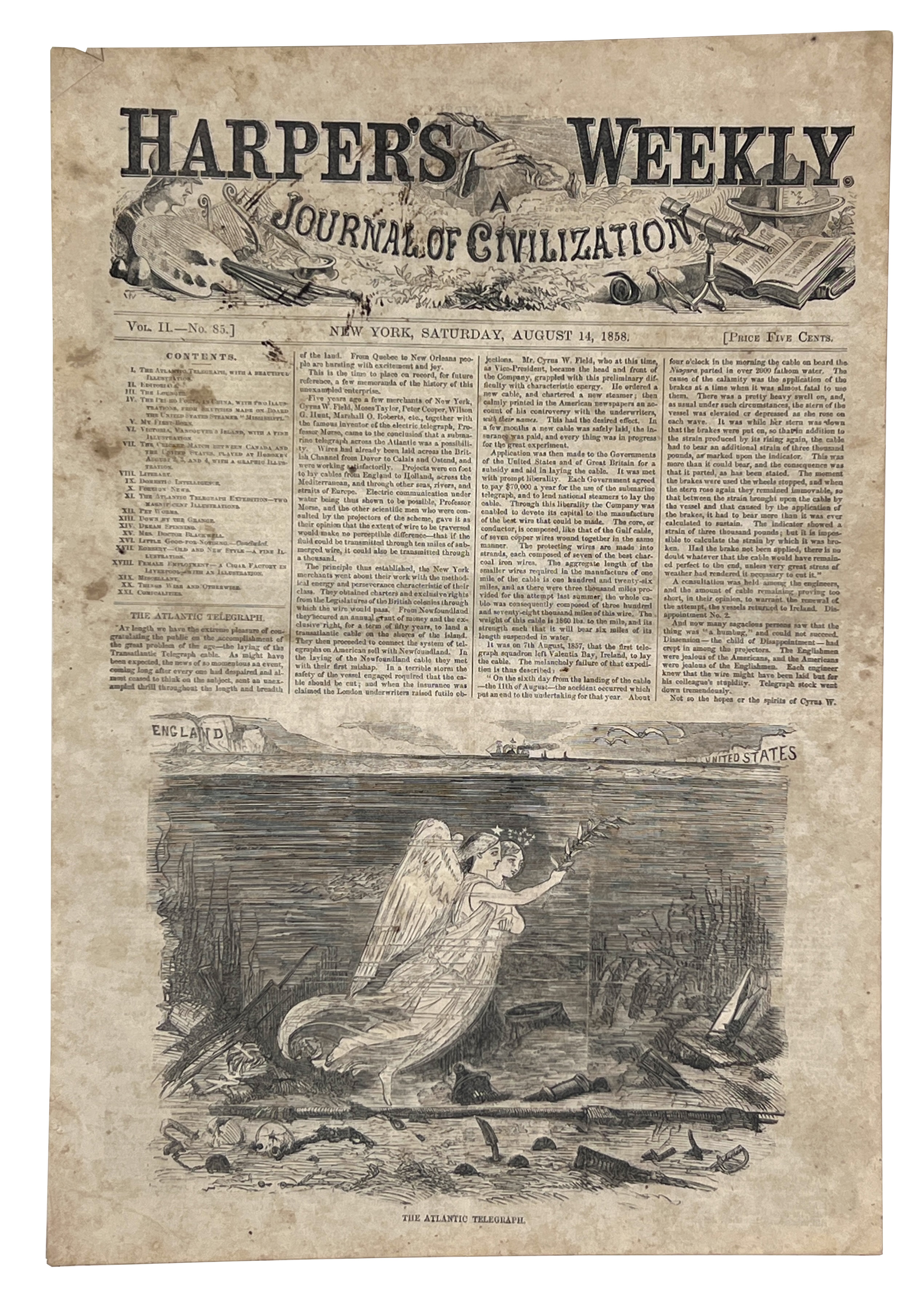 2024/08/15, image from 2024/08/15 edited in photoshop onto white background for database and online portal