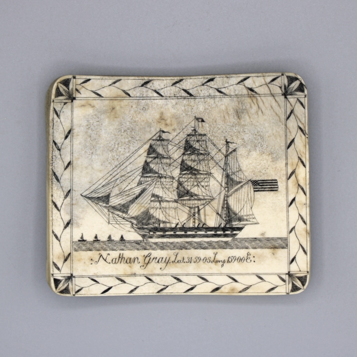 2024/08/19, object photographed in collection storage for database