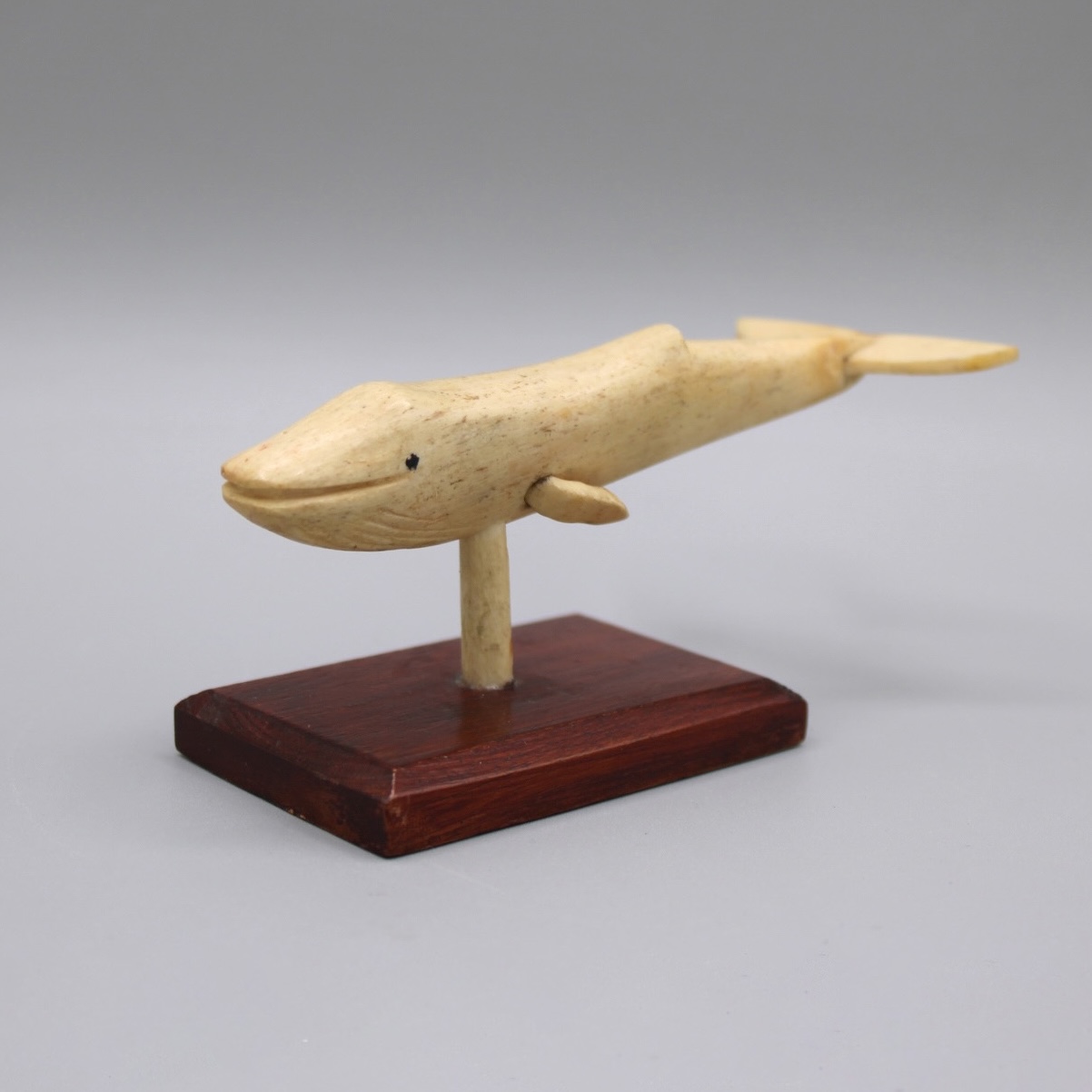 2024/08/19, object photographed in collection storage for database