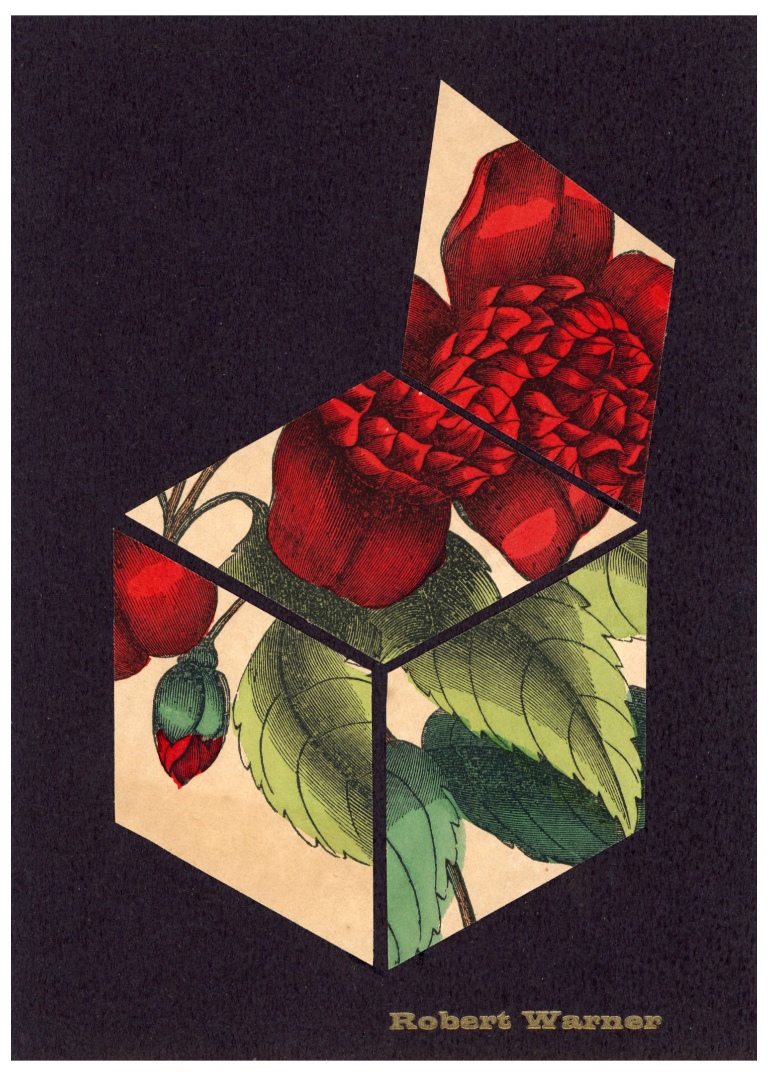 2024/08/21, object scanned in collection storage for database