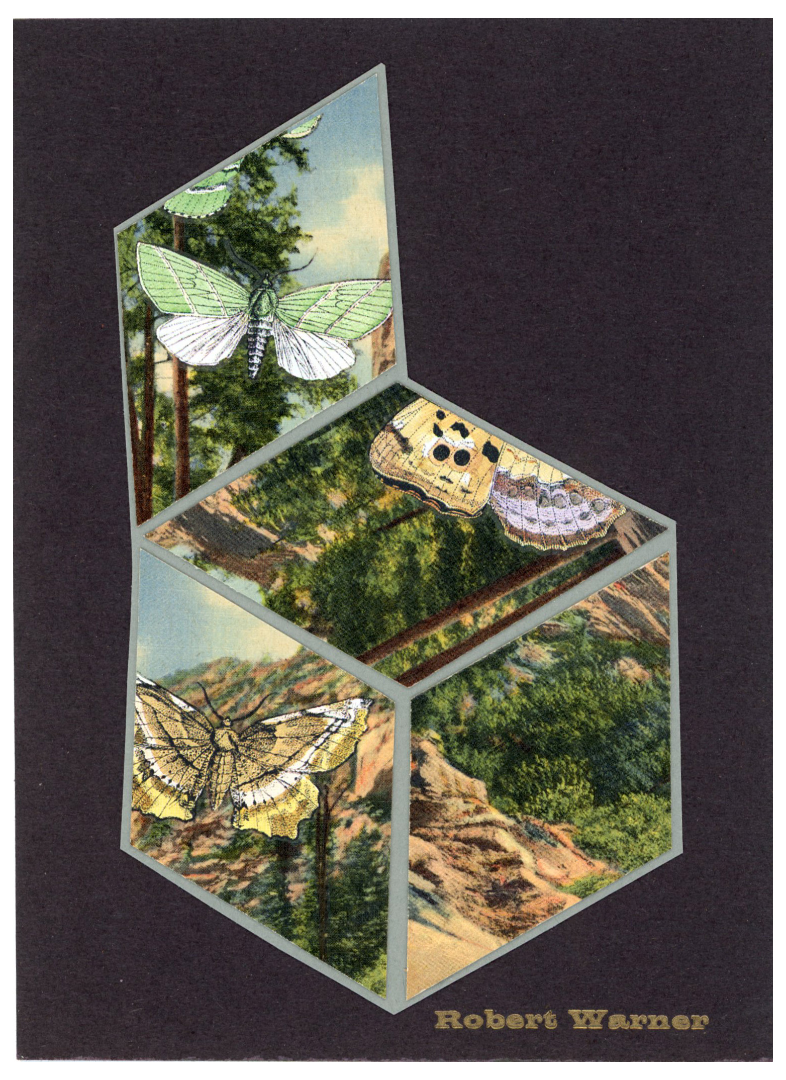 2024/08/21 object scanned in Collection Storage for database