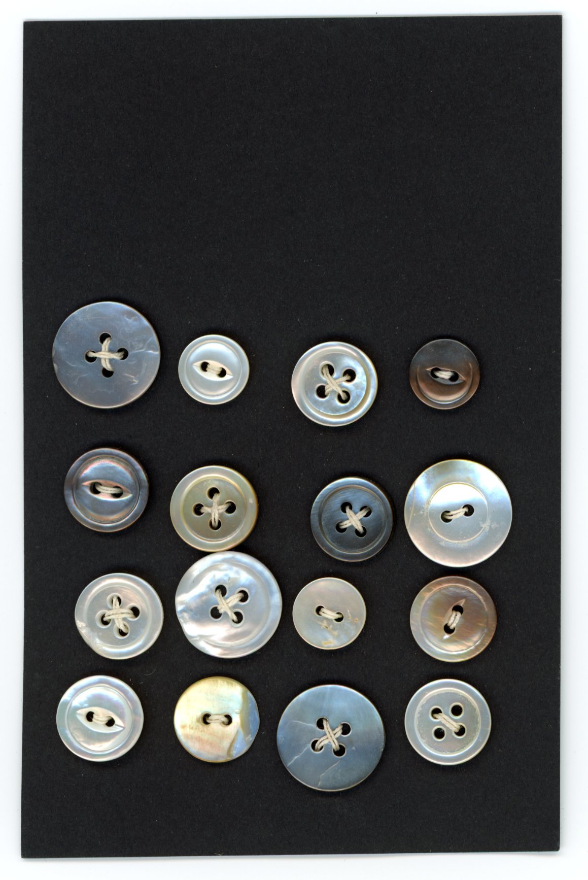 2024/08/27 object scanned in Collection Storage for database