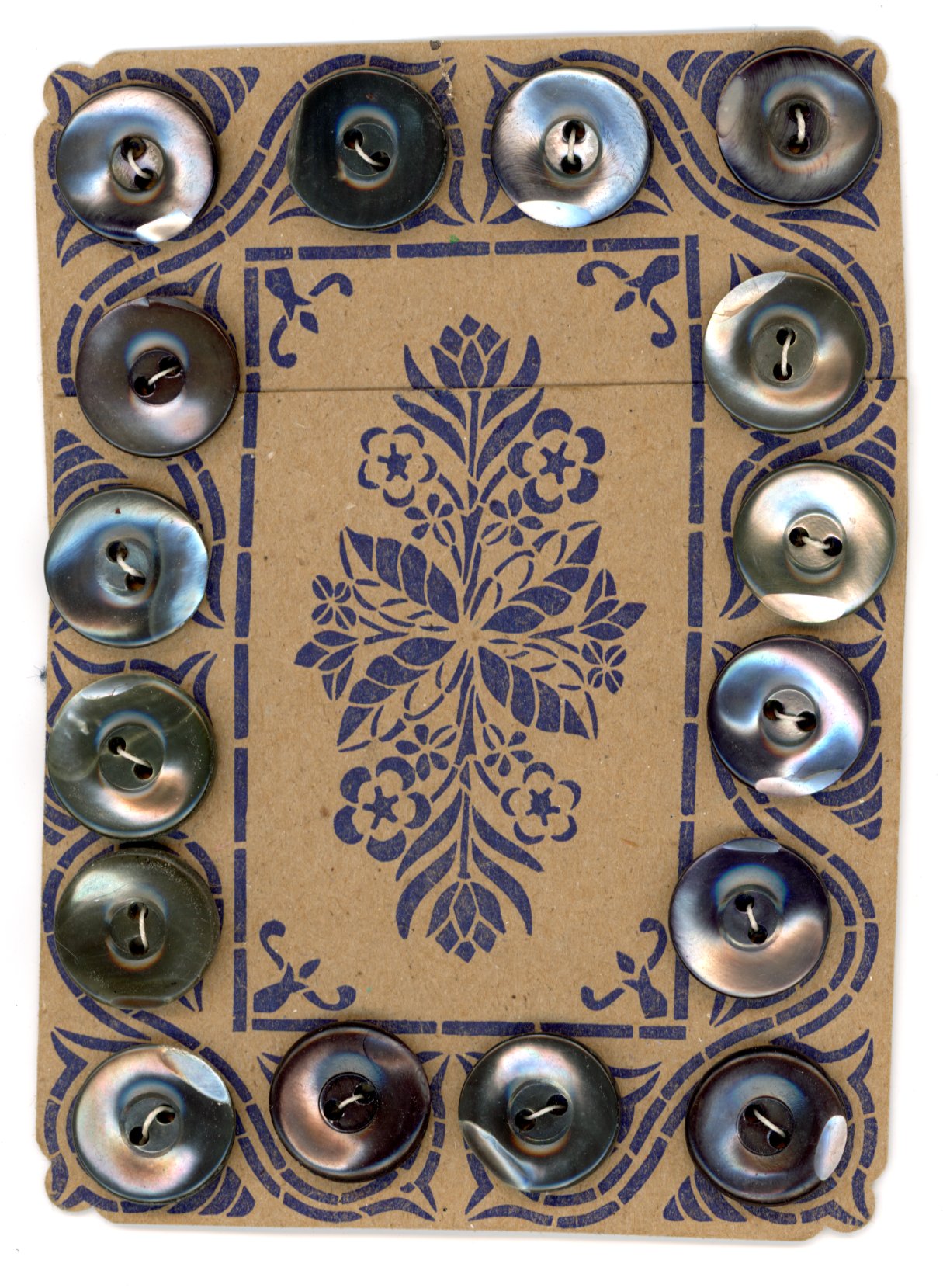 2024/08/27 object scanned in Collection Storage for database