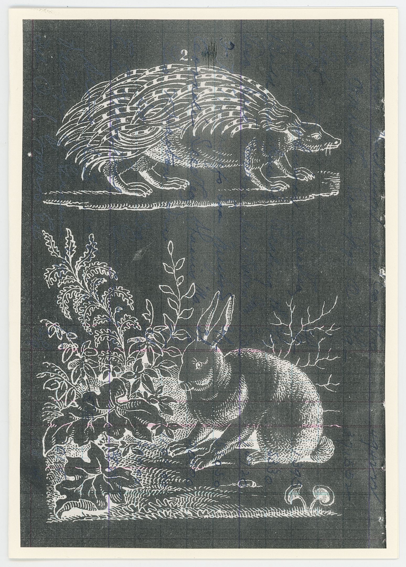 2024/09/03, object scanned in collections office for database