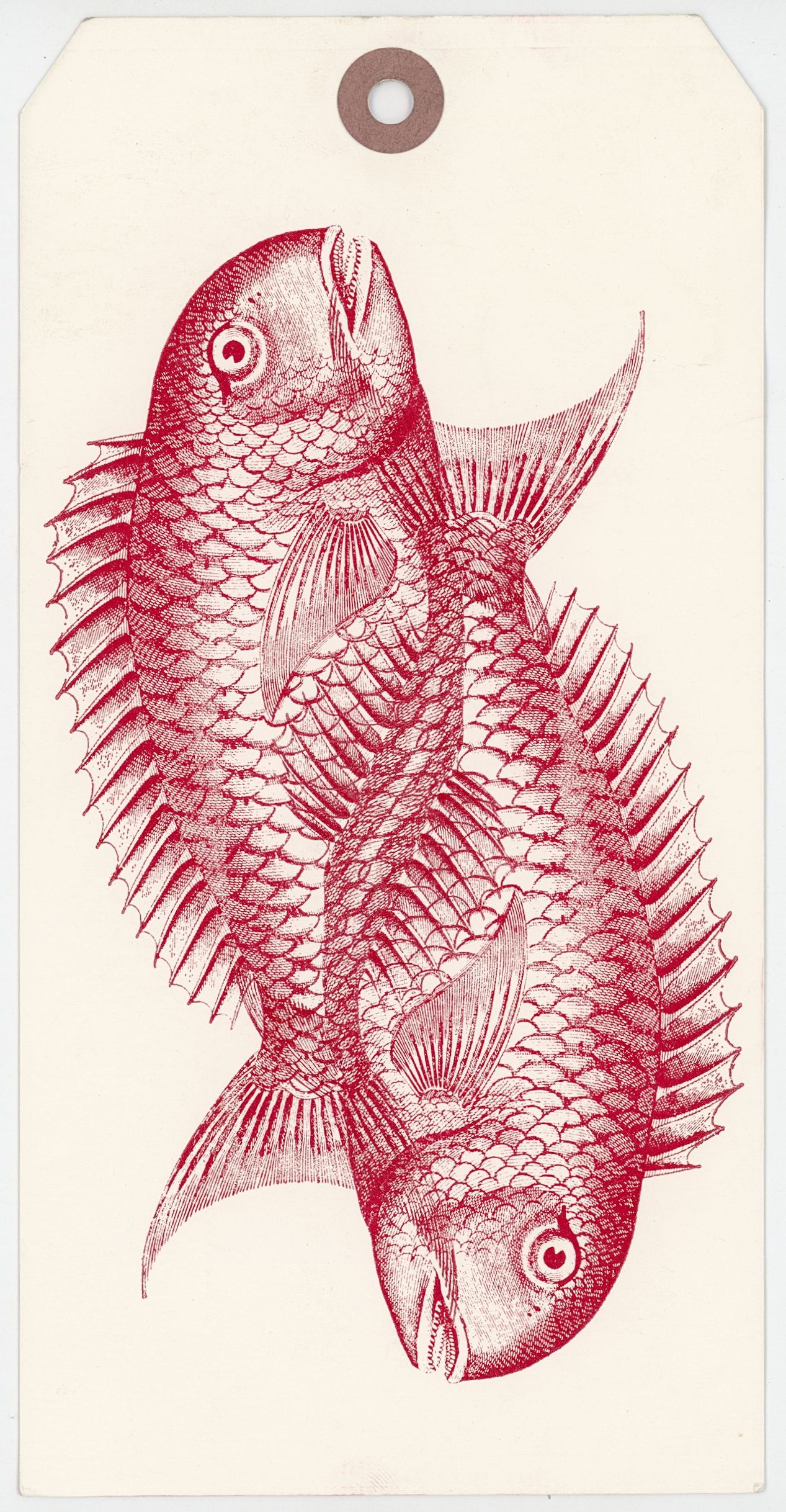 2024/09/03, object scanned in collections office for database