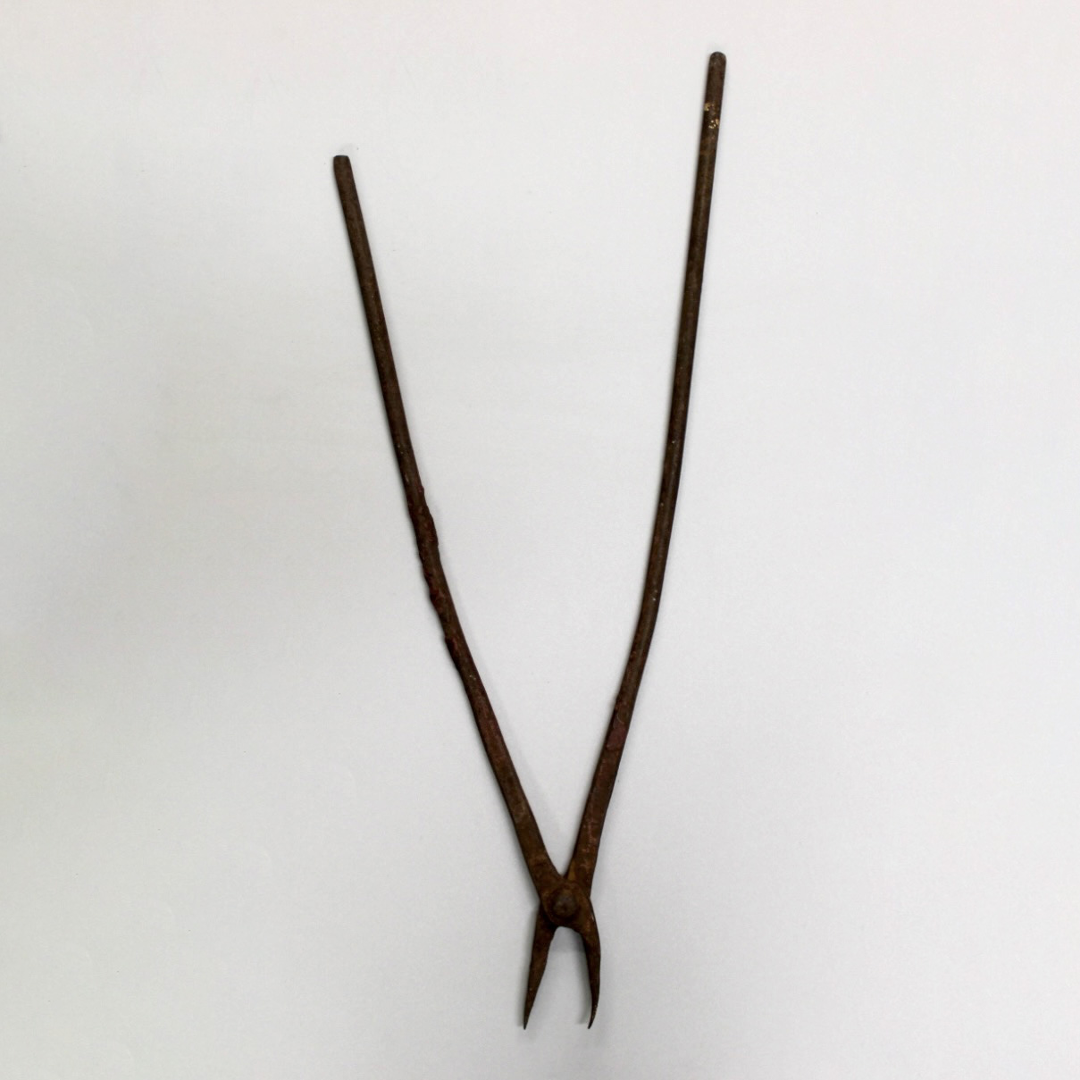 2024/09/03, object photographed in collections storage for database