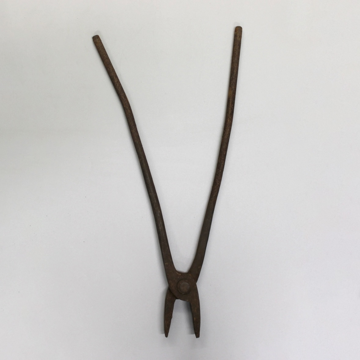 2024/09/03, object photographed in collections storage for database