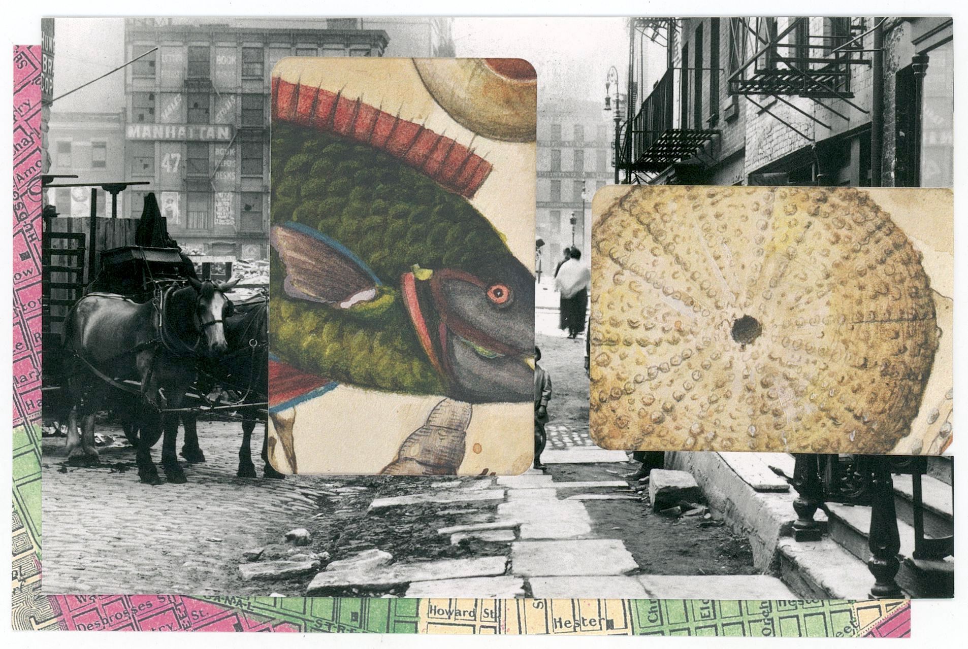 2024/09/11, object scanned in collections office for database