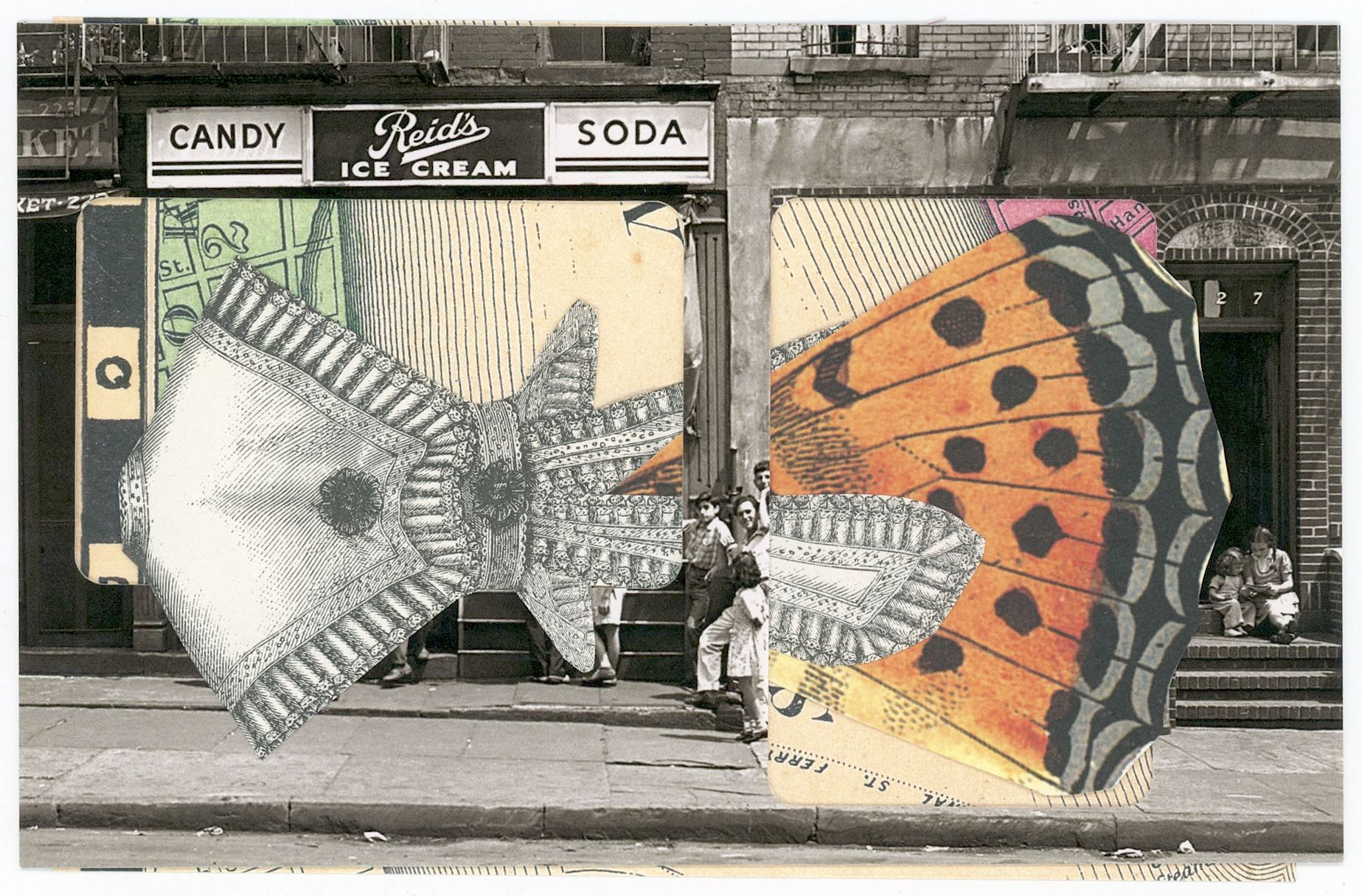 2024/09/11, object scanned in collections office for database