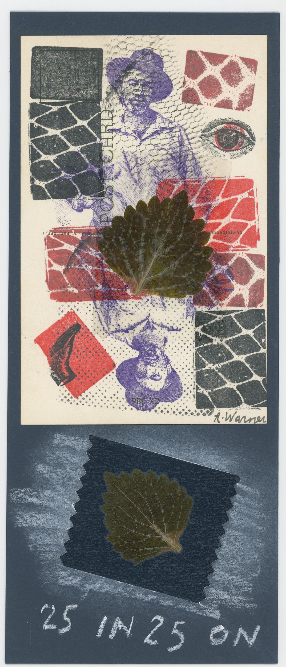 2024/09/17, object scanned in collections office for database