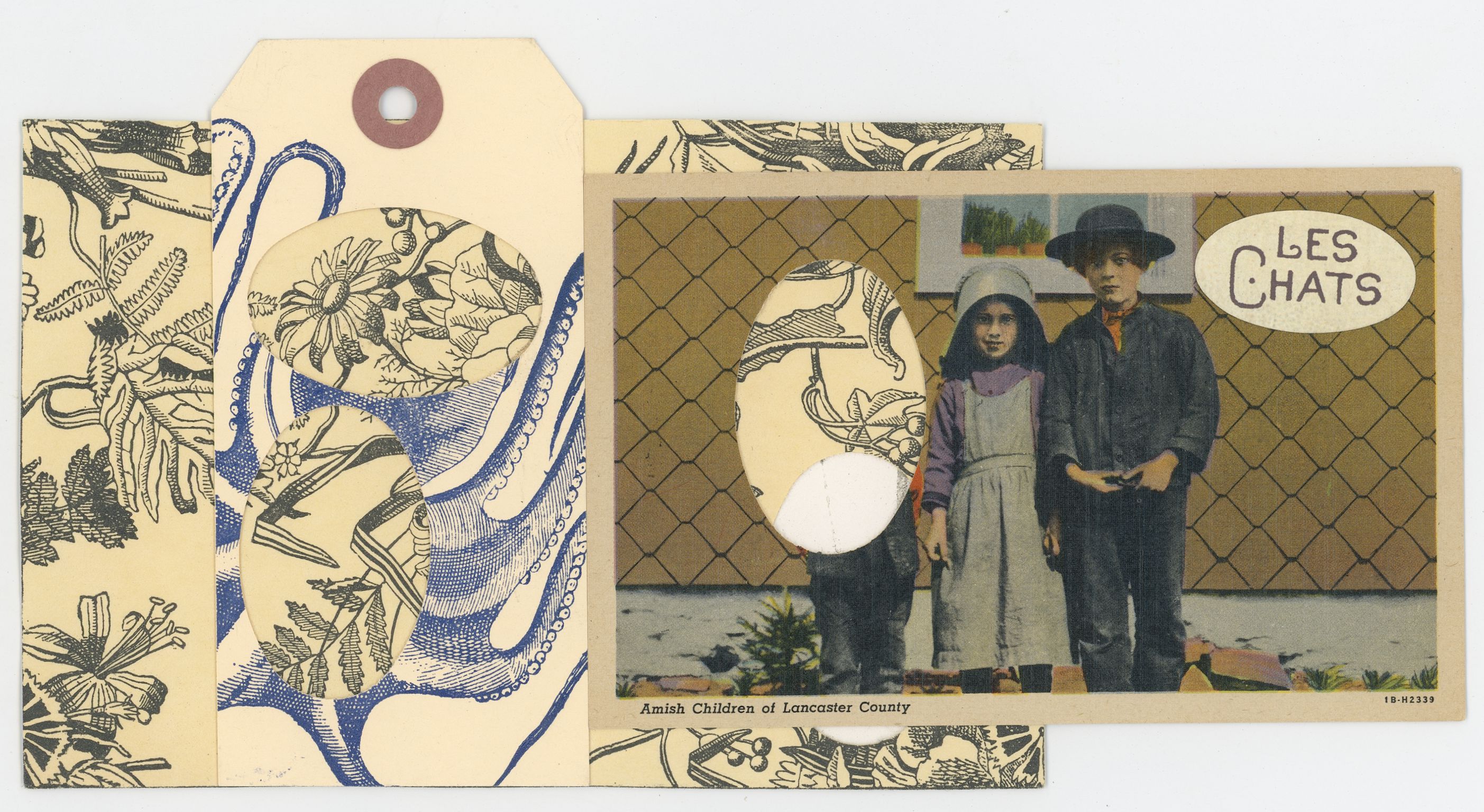 2024/09/17, object scanned in collections office for database