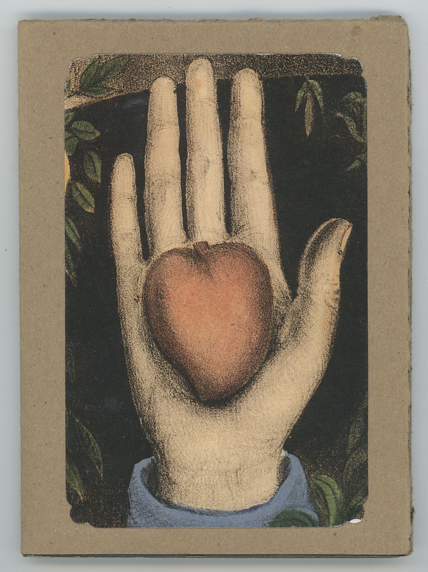 2024/10/03, object scanned in collections office for database