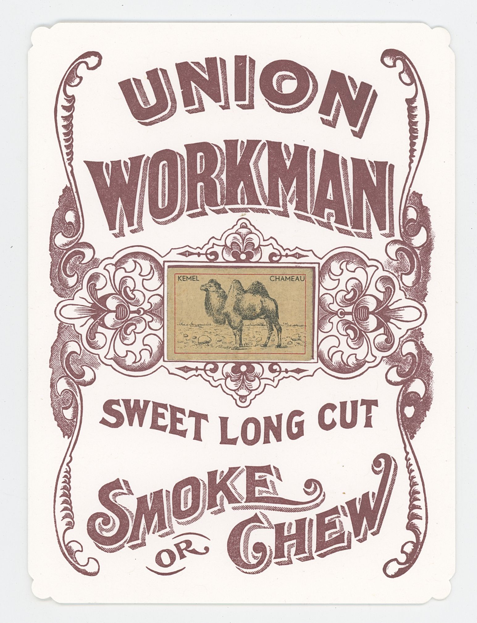 2024/10/04, object scanned in collections office for database