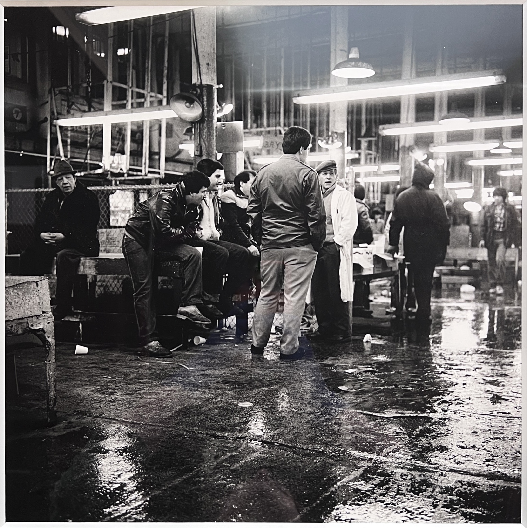 2024/12/06, image from 2024/12/06 cropped for database