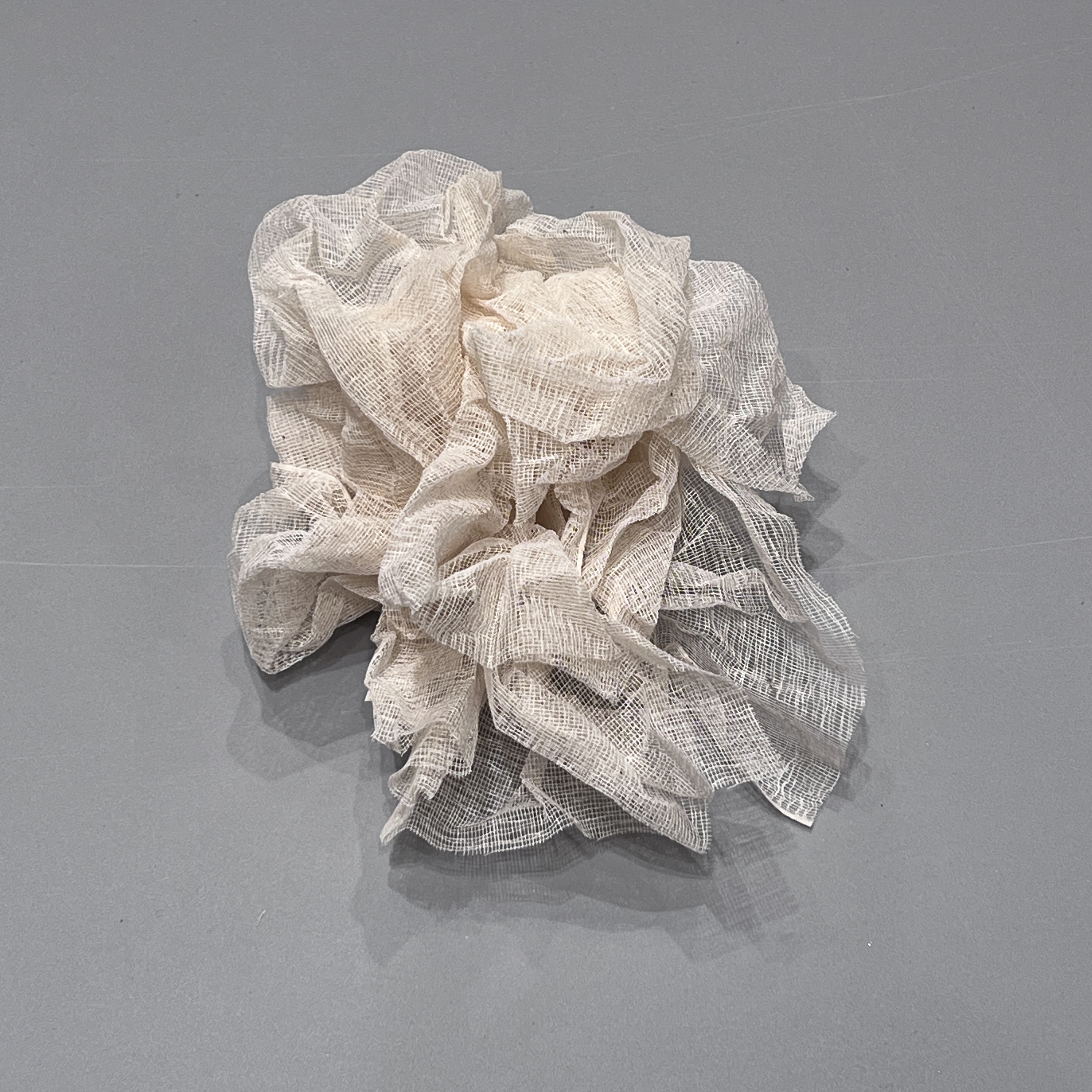 2024/12/13, object photographed in A.A. Thomson & Co. Warehouse for database