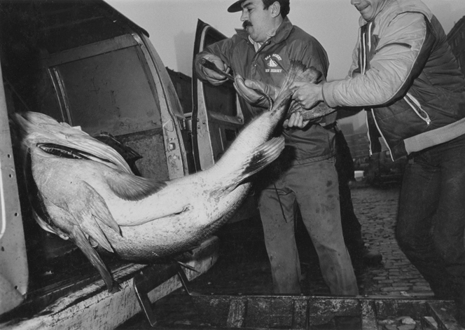 2024/12/9 image sent by artist Barbara Mensch to be used online and for record keeping