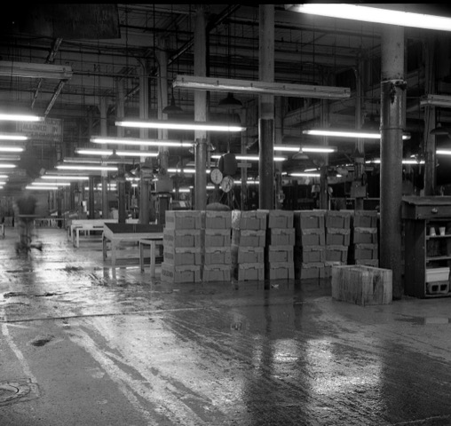 2025/01/10 image sent by artist Barbara Mensch to be used online and for record keeping