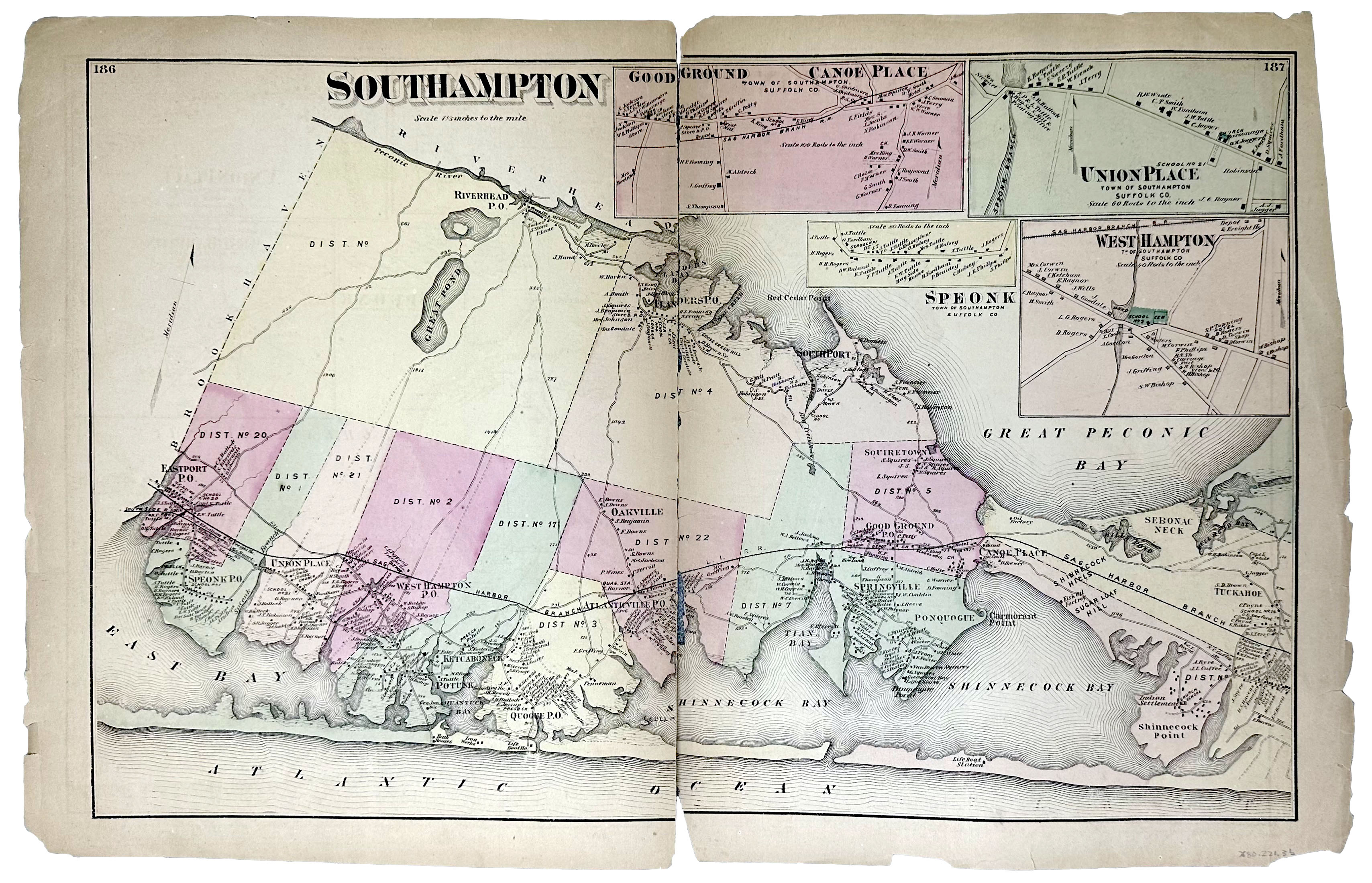 2025/02/13, image edited in photoshop for database/portal