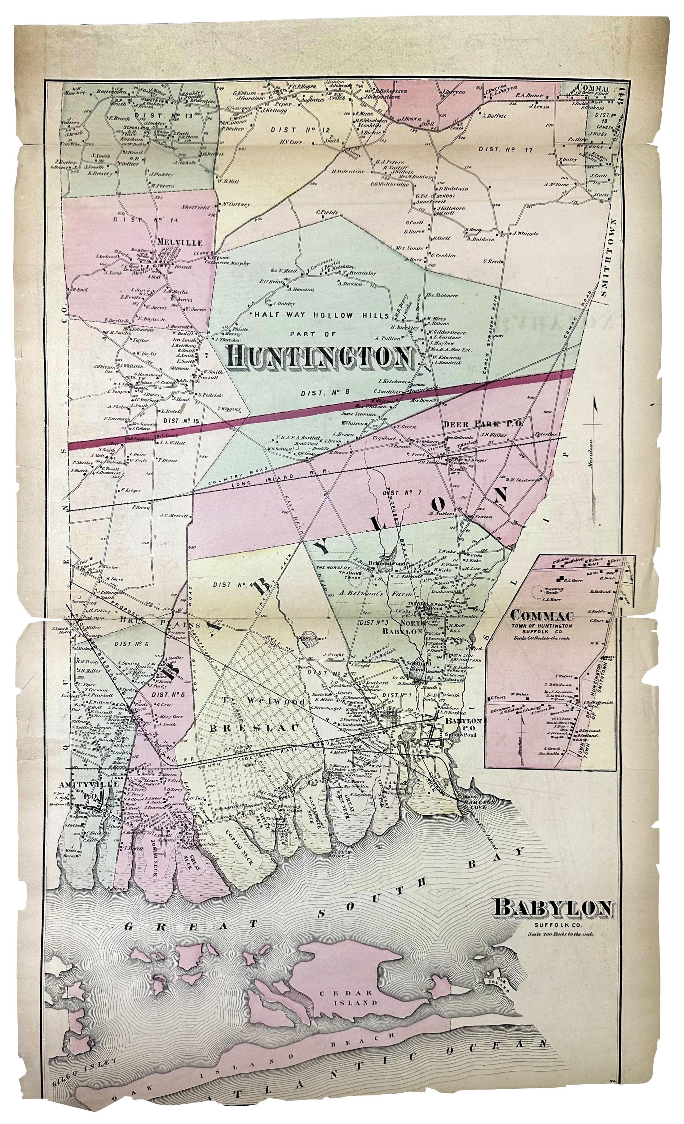 2025/02/13, image edited in photoshop for database/portal