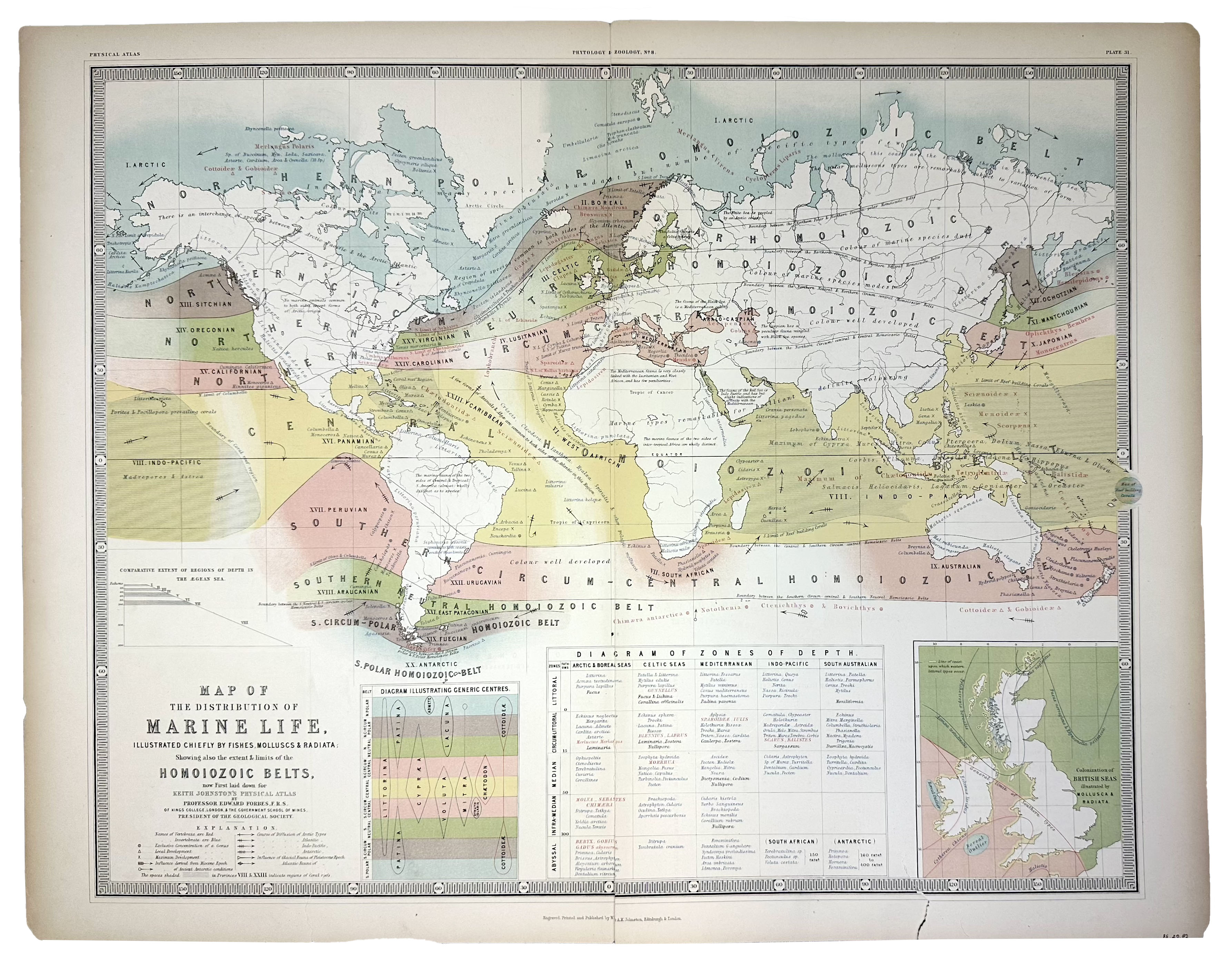 2025/02/13, image edited in photoshop for database