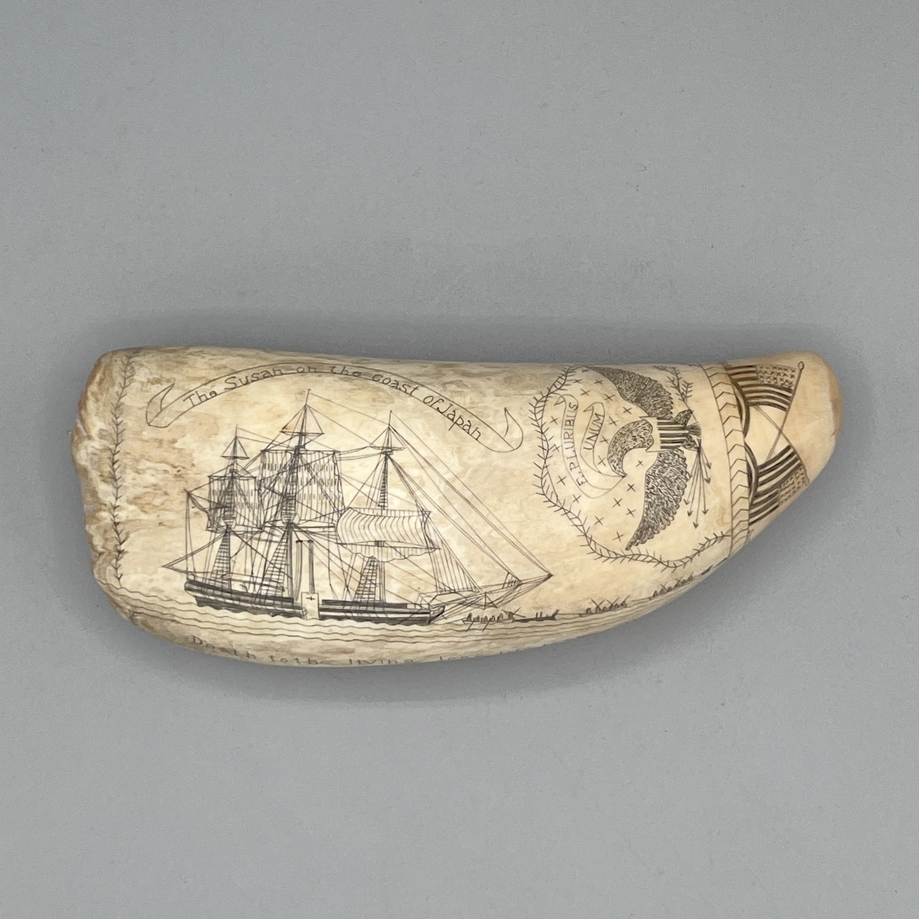 2025/04/15, object photographed in collections storage for database