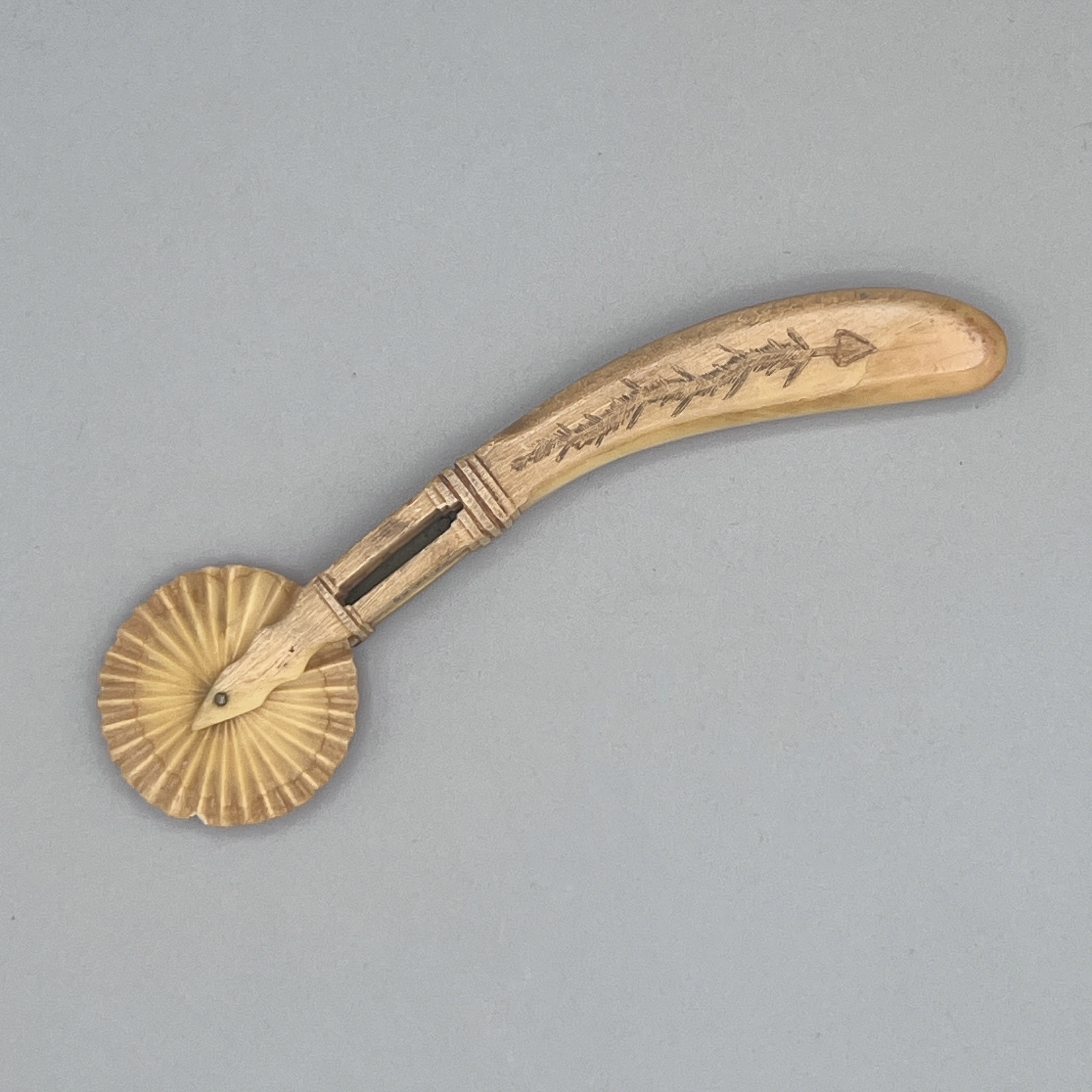 2025/04/15, object photographed in collections storage for database