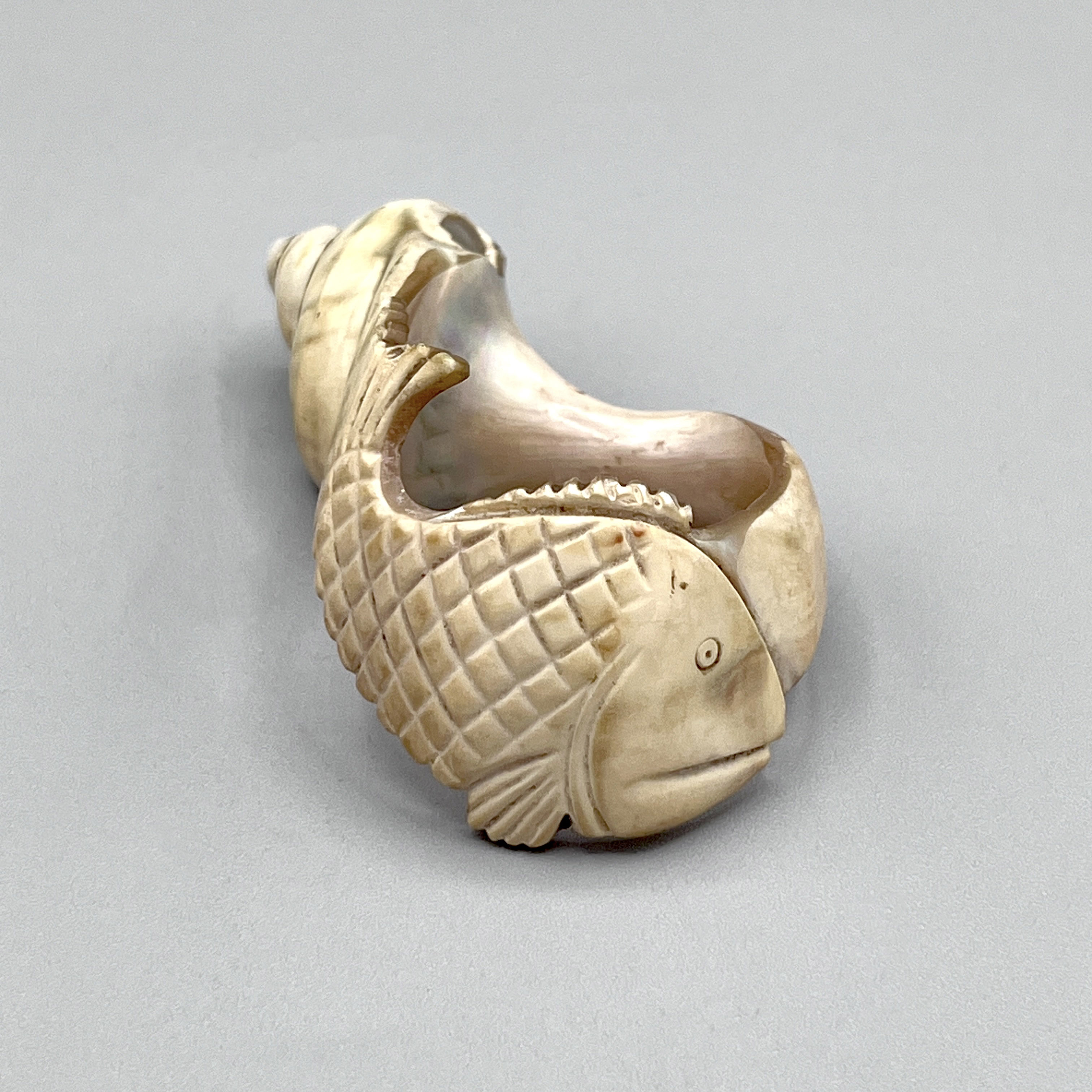 2025/04/18, object photographed in collections storage for database