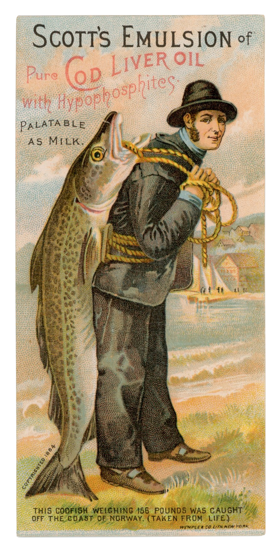 2025/05/16, image from 2025/05/16 edited onto white background for database