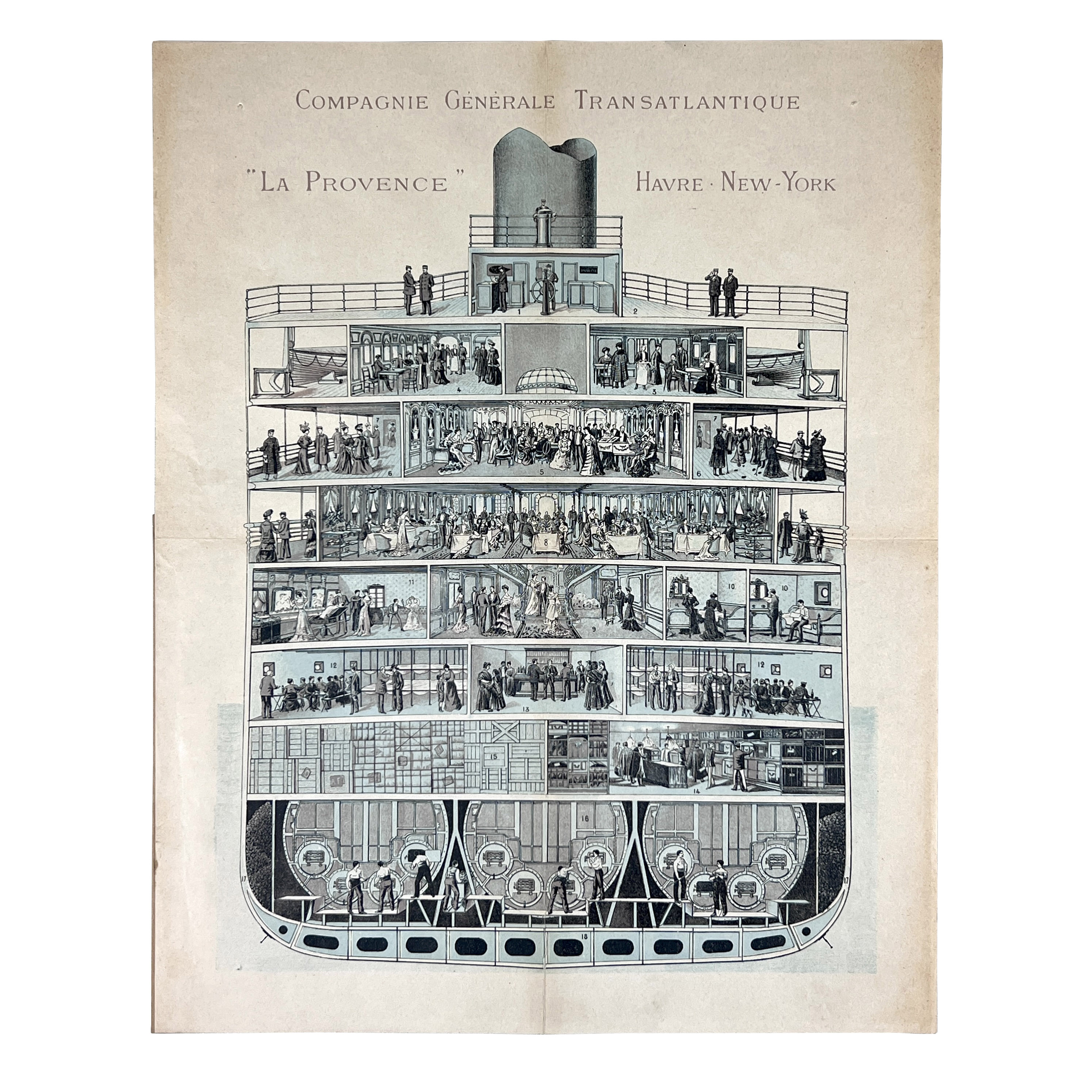 2025/06/26, image from 2025/06/26 edited onto white background for database