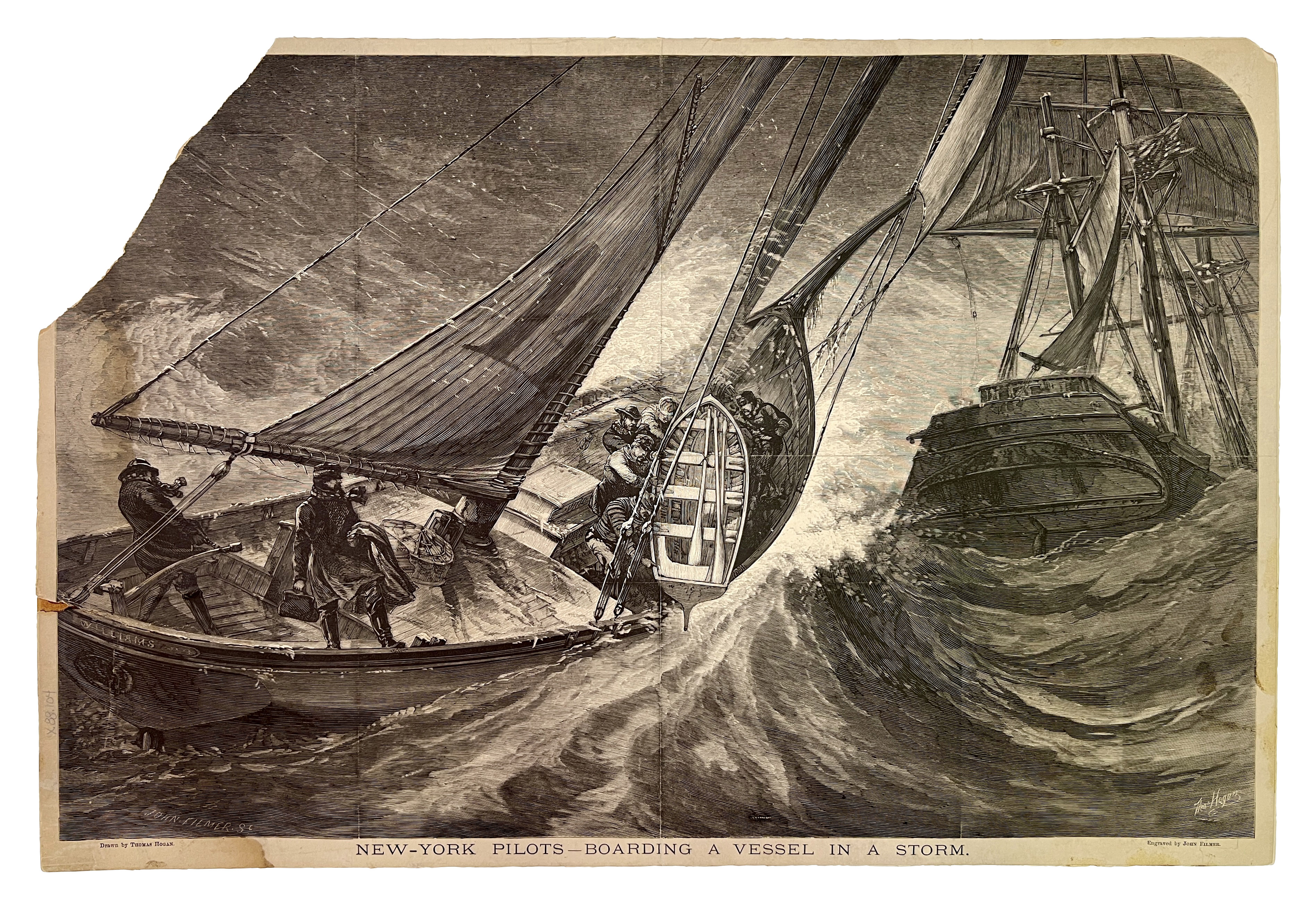 2025/07/14, image from 2025/07/14 edited onto white background for Collections Online Portal