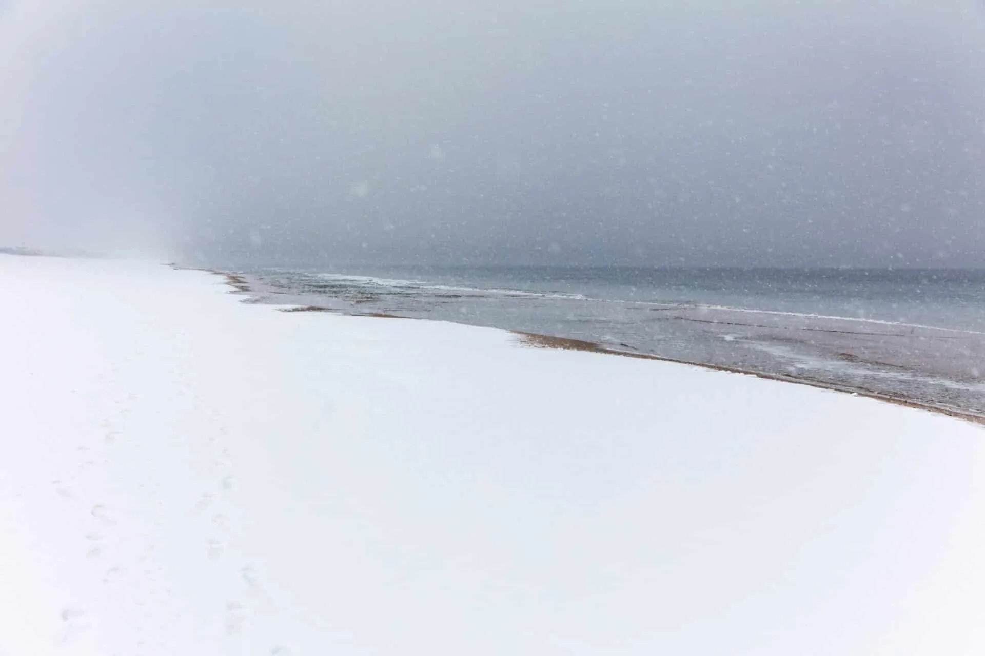 image sent by the artist 