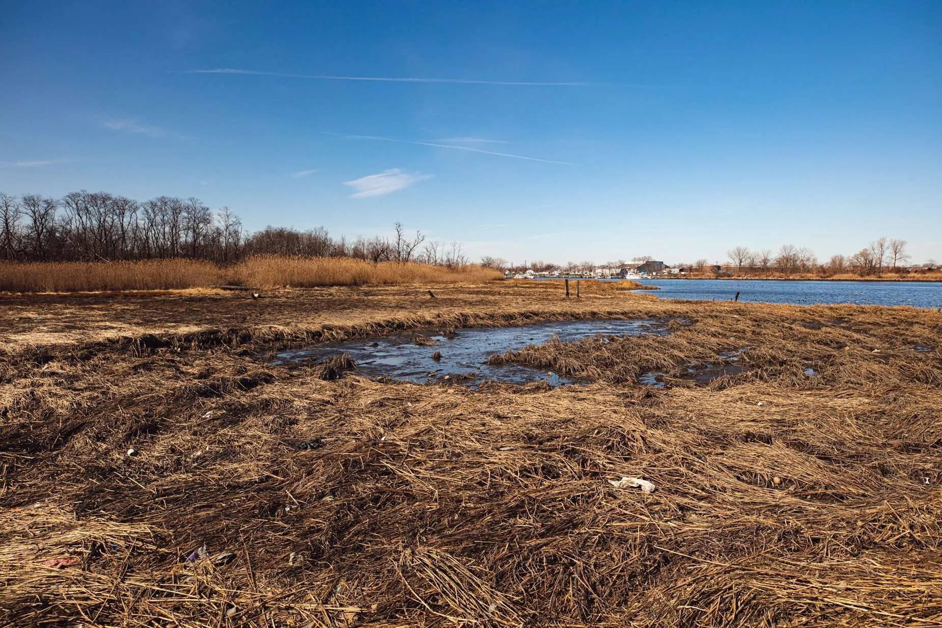 image sent by the artist