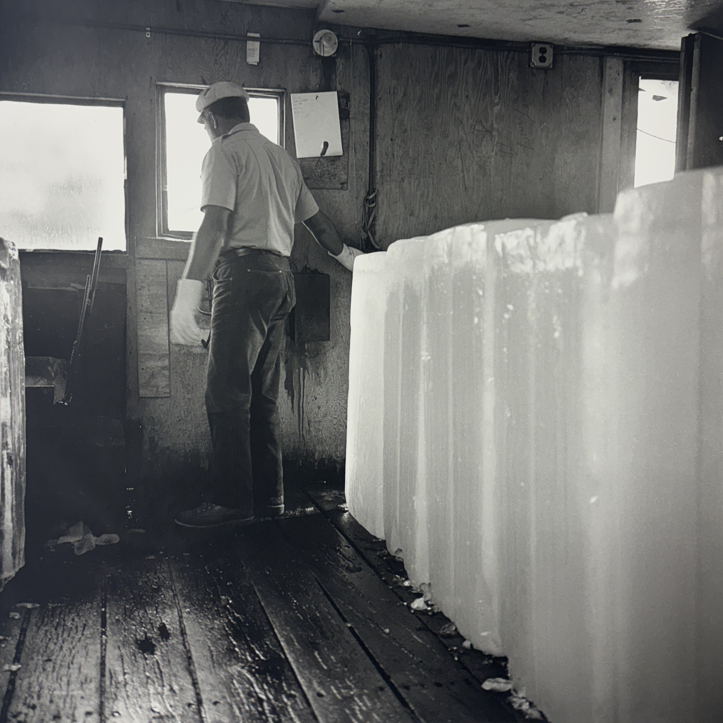 2026/02/03 image taken in collections storage for database