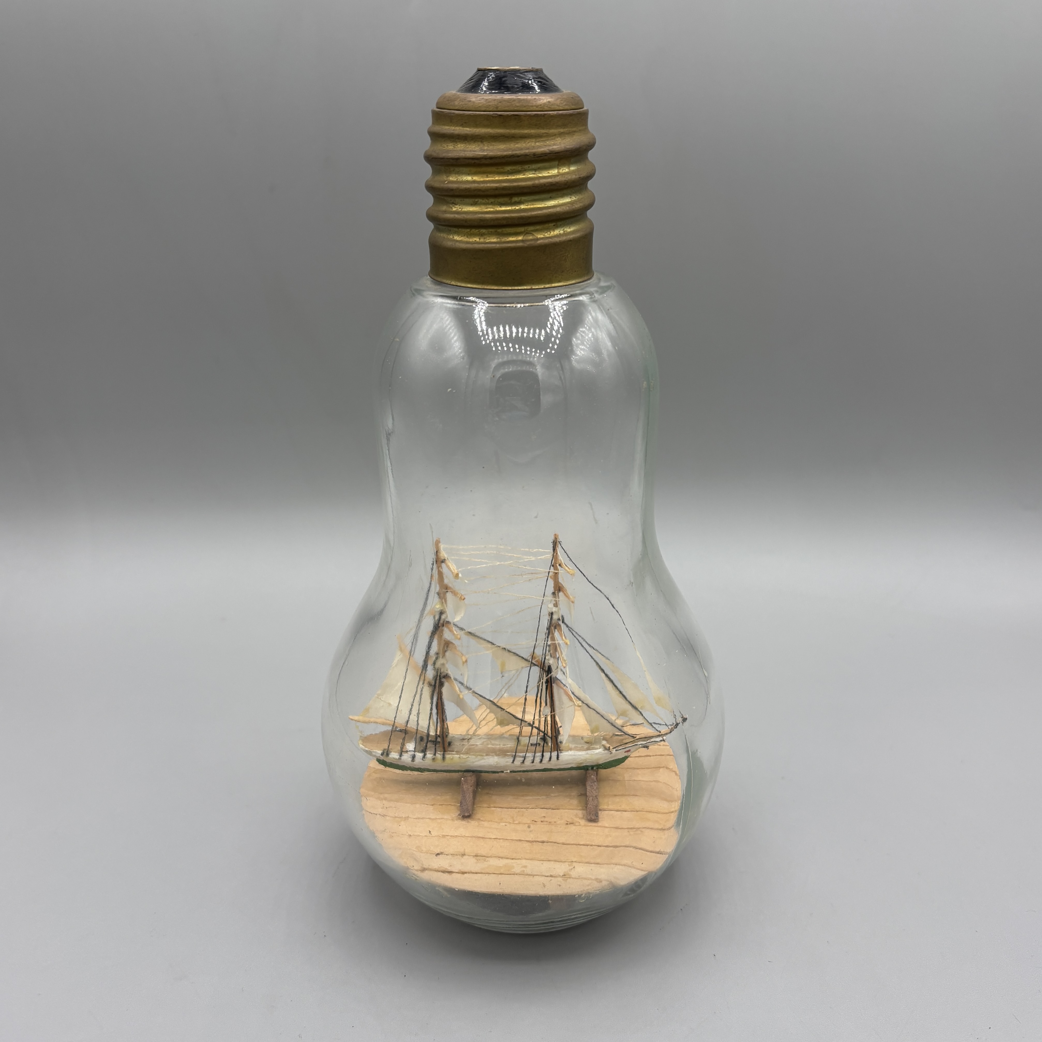 2026/02/17 image taken in collections storage for database