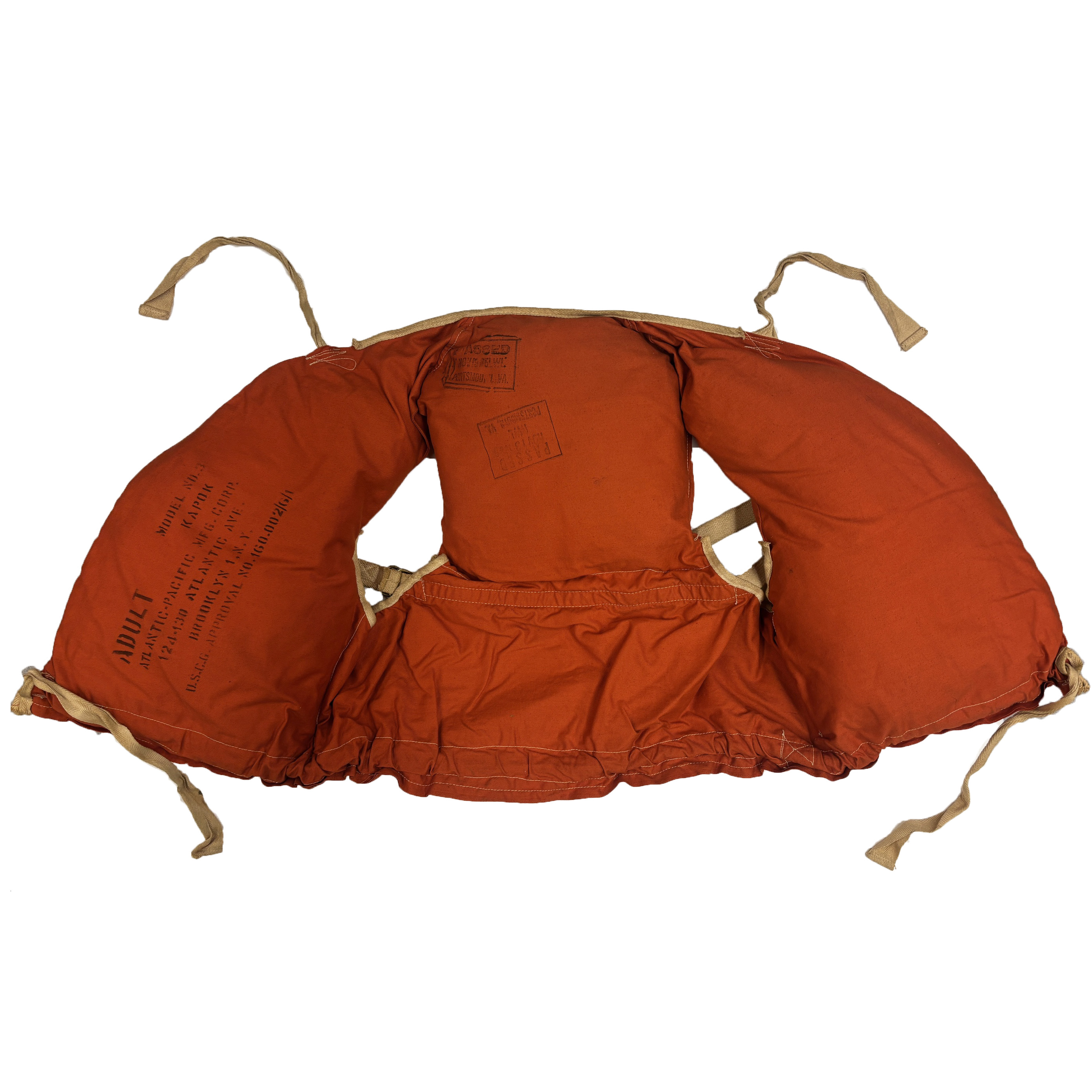 2026/02/19 taken in collection storage for database. White background added in photoshop.